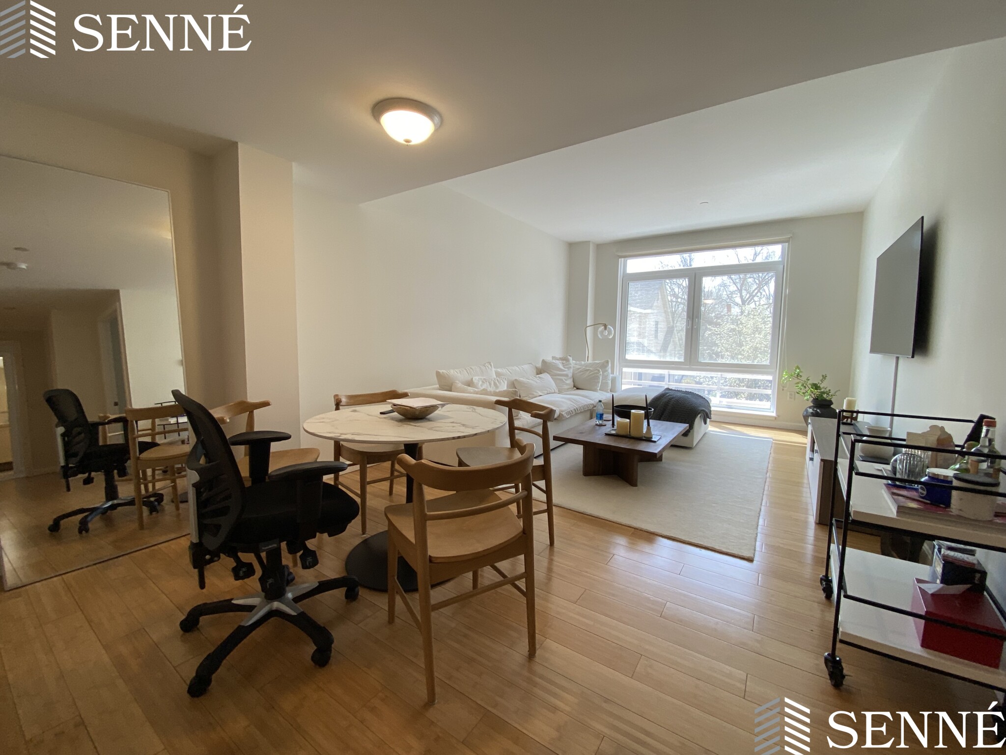 1008 Massachusetts Ave, Harvard Square