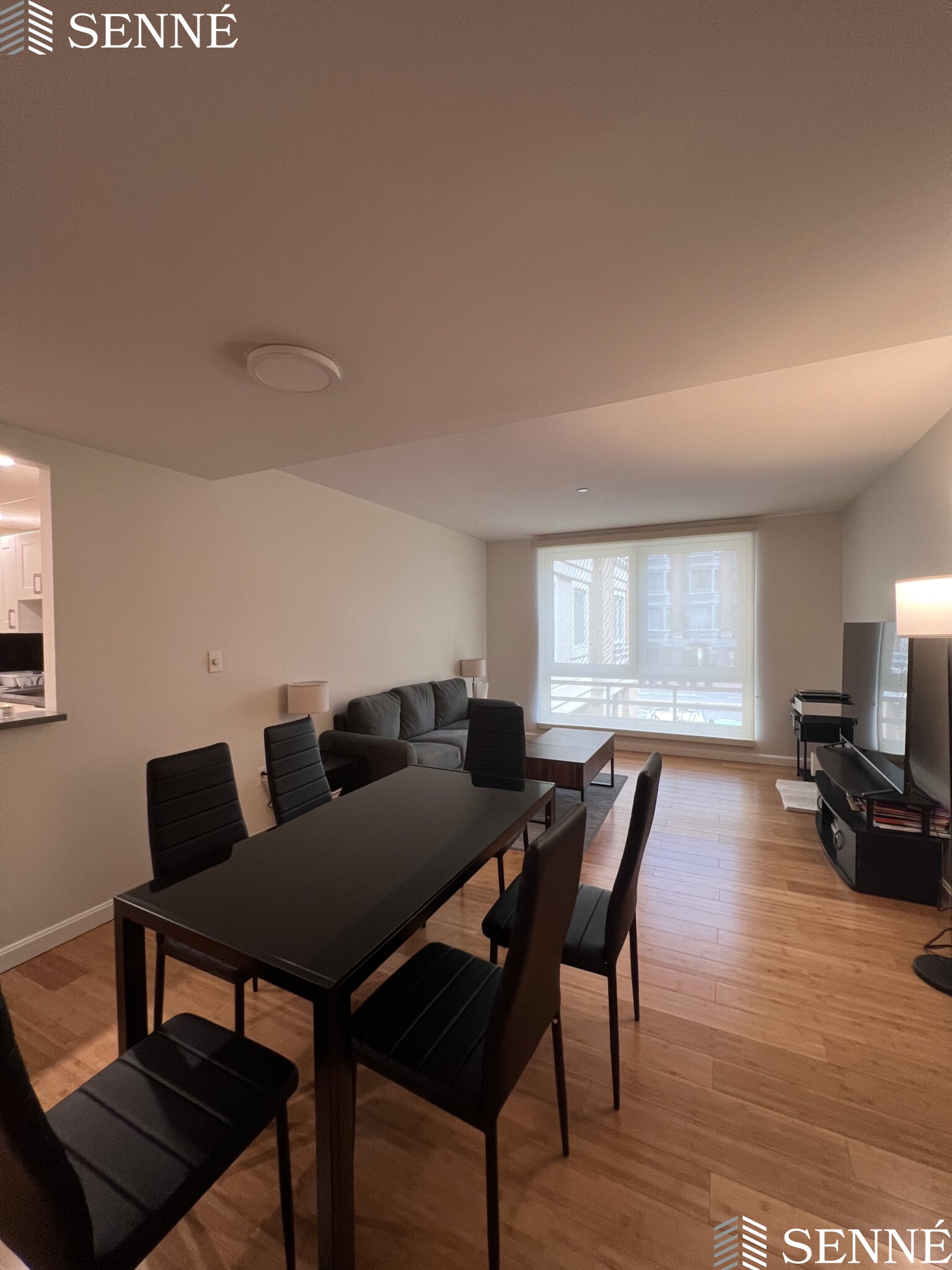 1008 Massachusetts Ave, Harvard Square