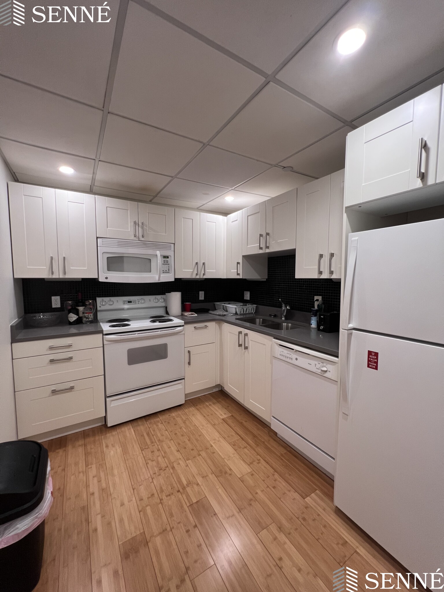 1008 Massachusetts Ave, Harvard Square