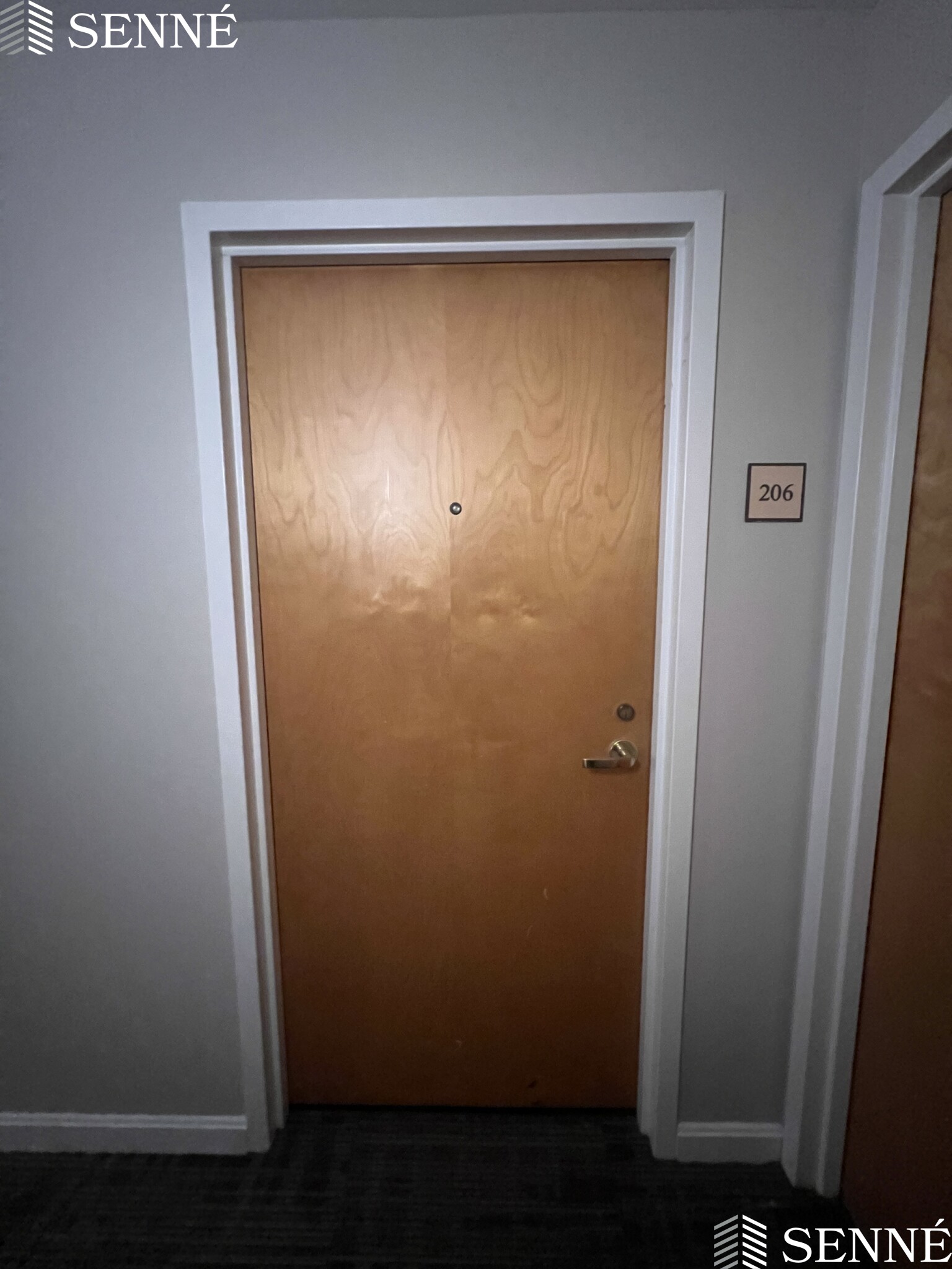 1008 Massachusetts Ave, Harvard Square