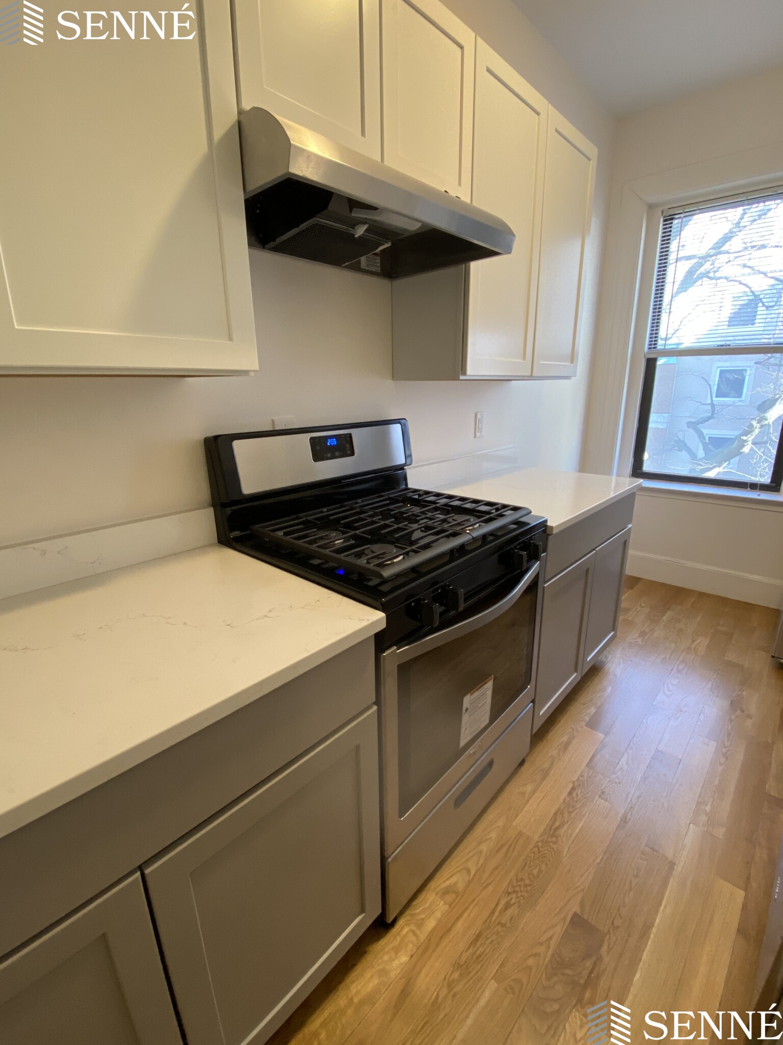 1039 Massachusetts Ave, Harvard Square