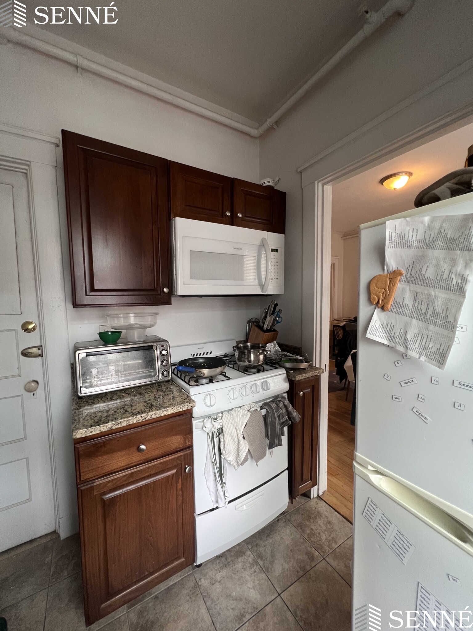 3 Linnaean St, Neighborhood Nine