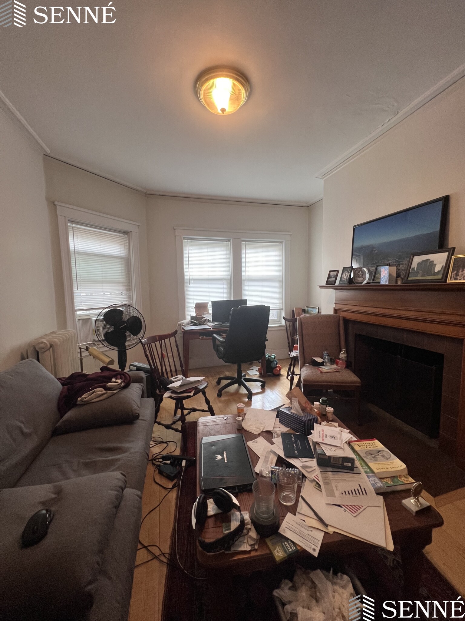 3 Linnaean St, Neighborhood Nine