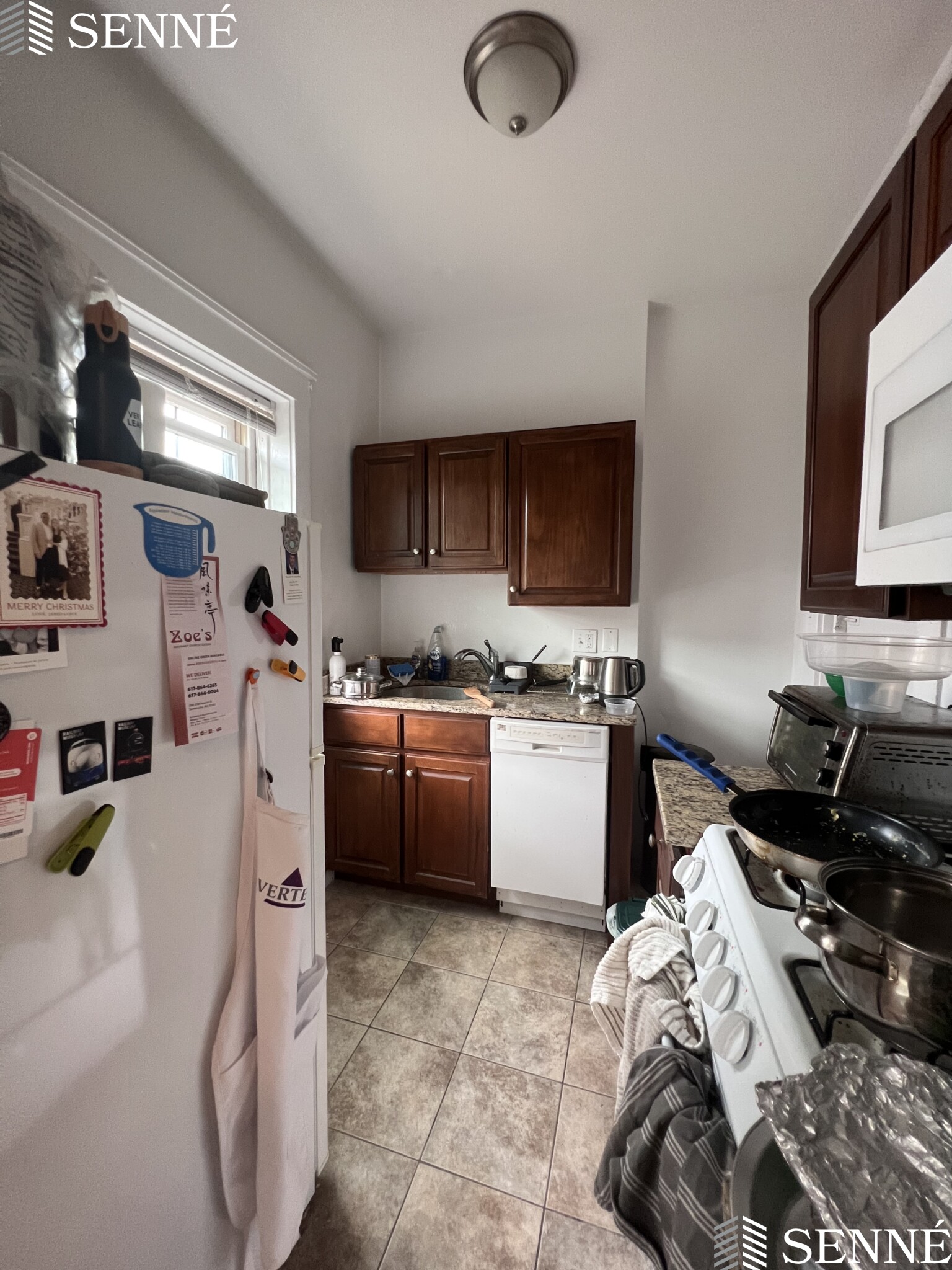 3 Linnaean St, Neighborhood Nine