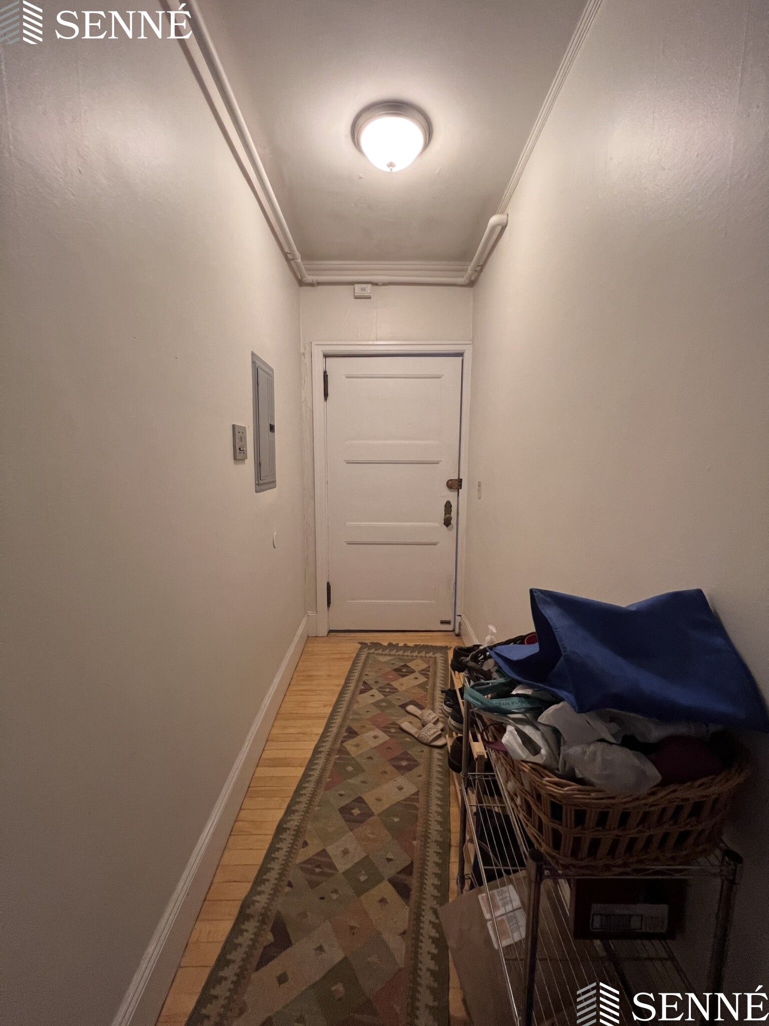 3 Linnaean St, Neighborhood Nine