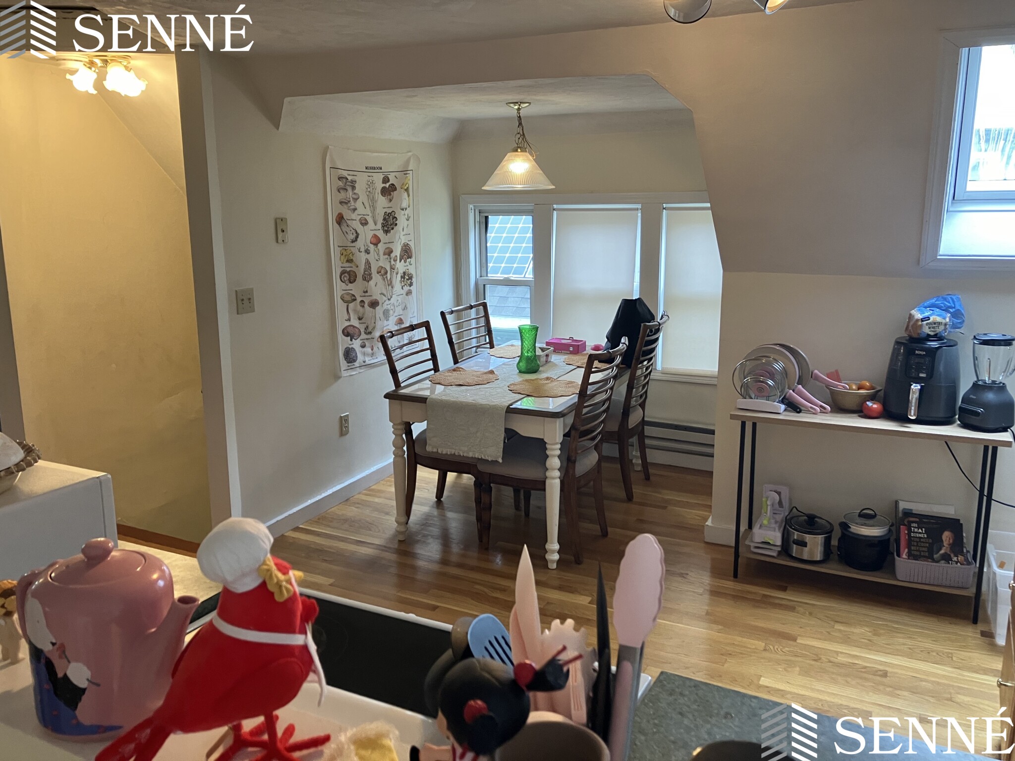 24 Haskell St, North Cambridge