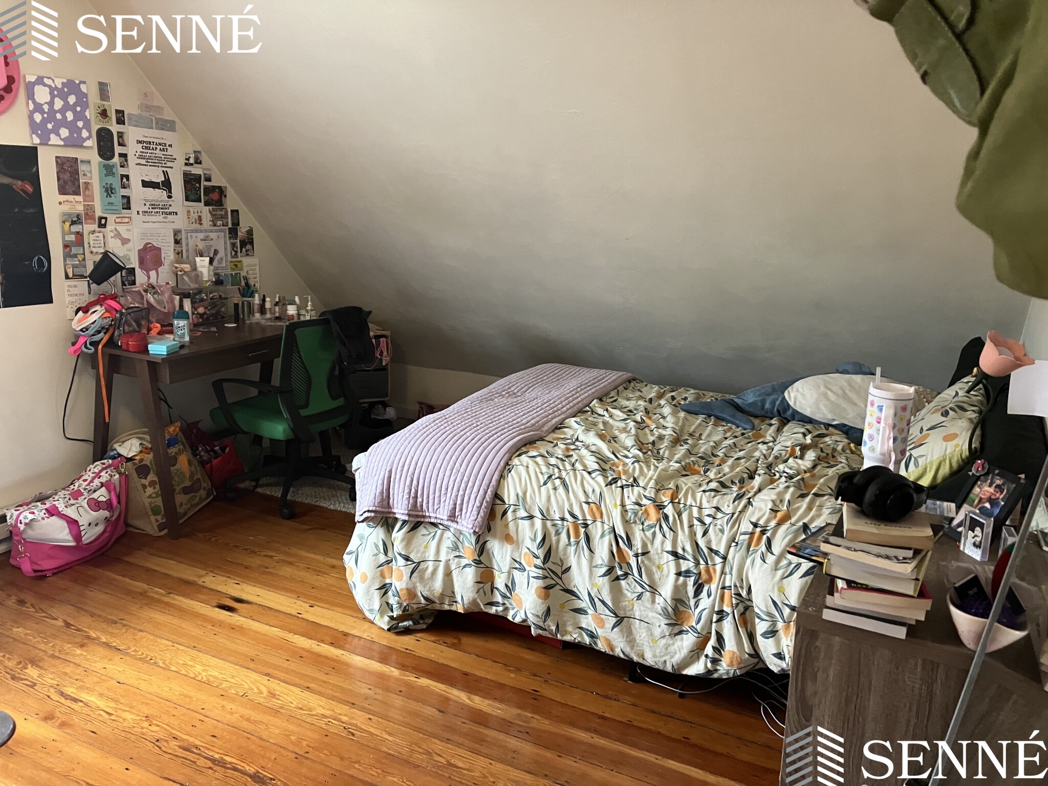 24 Haskell St, North Cambridge