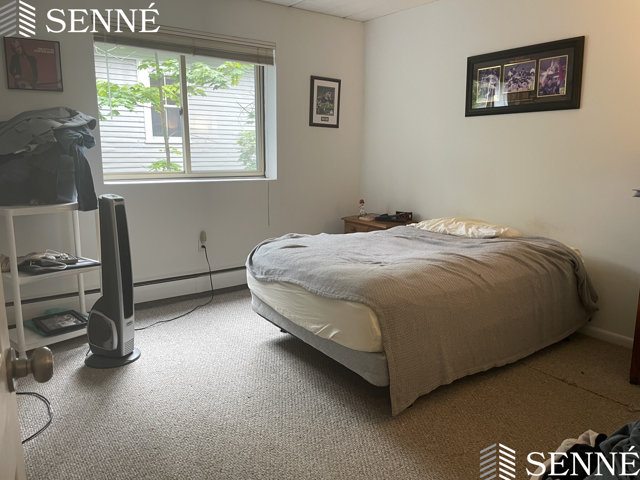 16 Trowbridge, Harvard Square