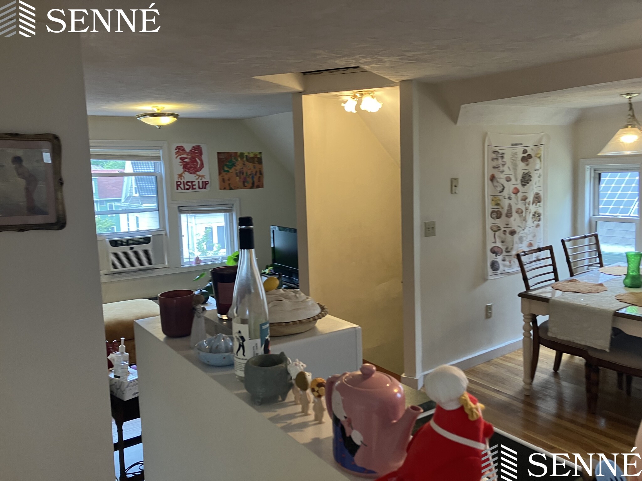 26 Haskell St, North Cambridge