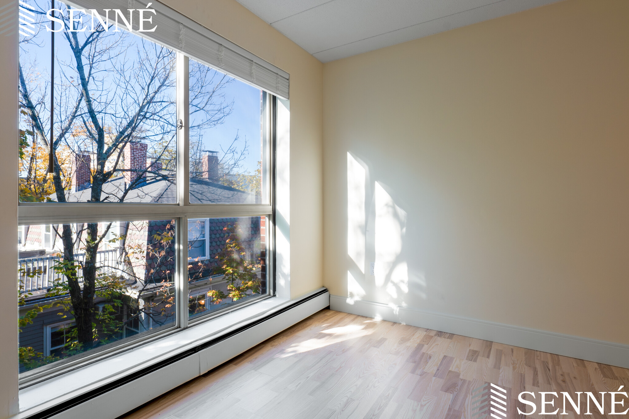 16 Trowbridge, Harvard Square