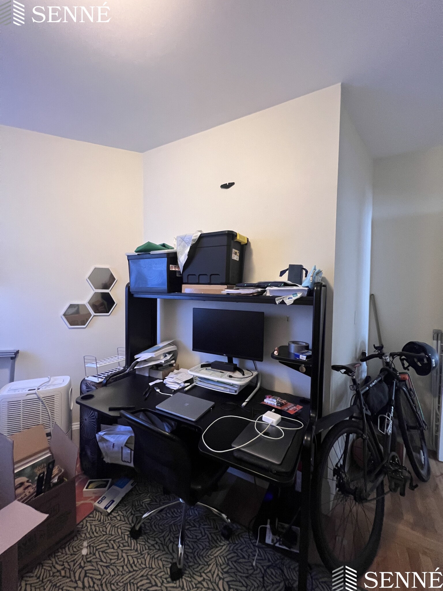 991 Massachusetts, West Cambridge