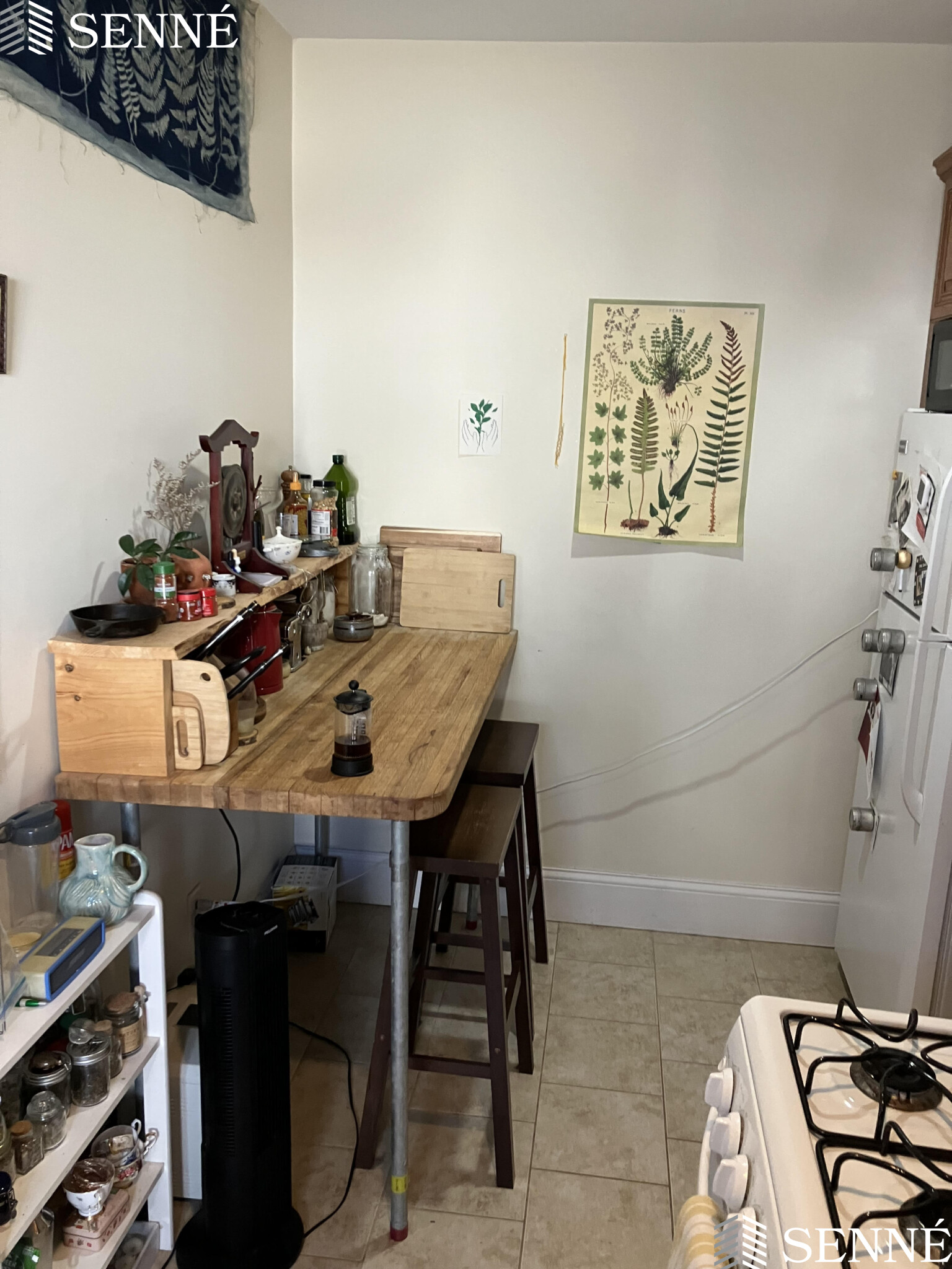 https://ygl-photos.s3.us-west-004.backblazeb2.com/278W67ebf74e3ae0b.jpg
