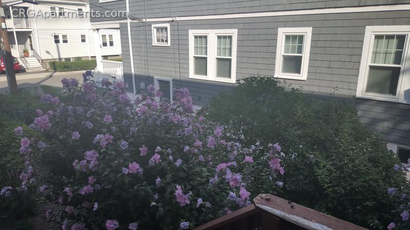 68 Victoria St, West Somerville