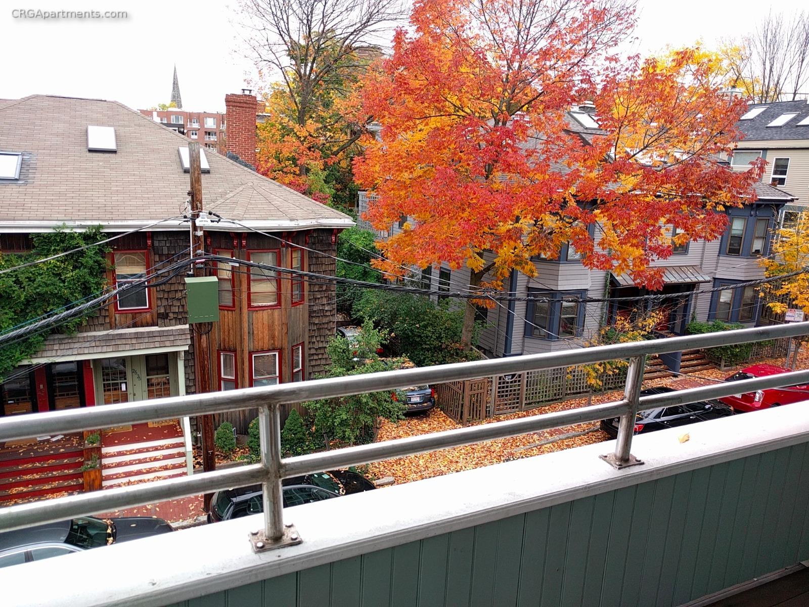 28 Surrey St, Harvard Square