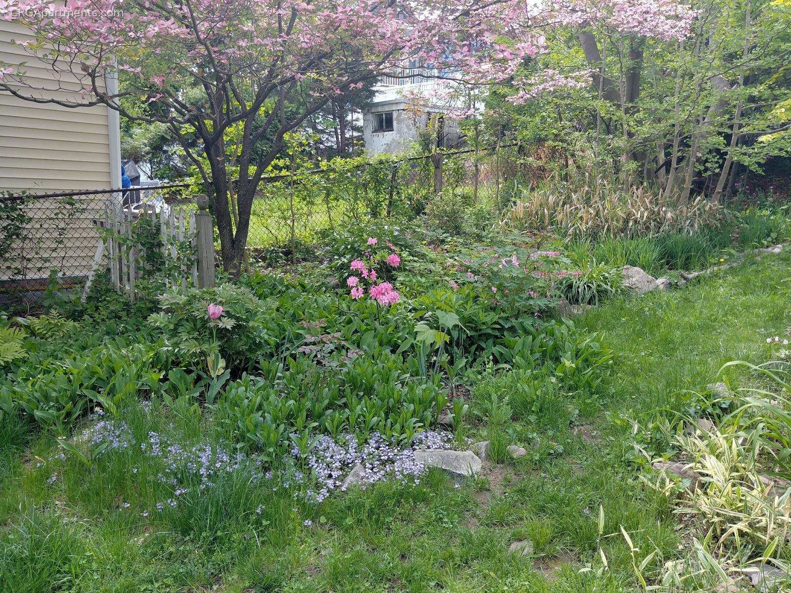 74 Fremont St, South Medford