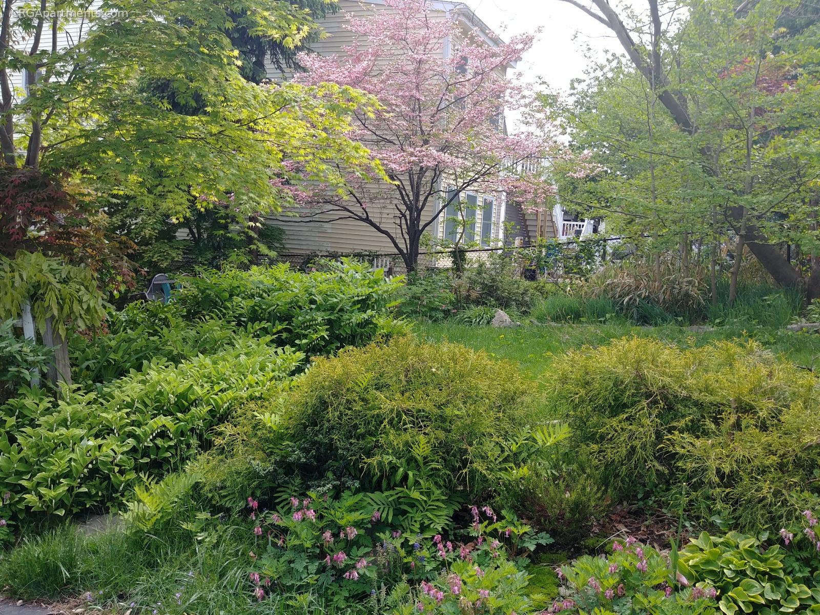 74 Fremont St, South Medford