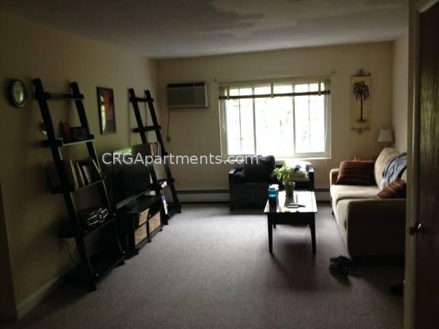 7 Brattle Dr, Arlington