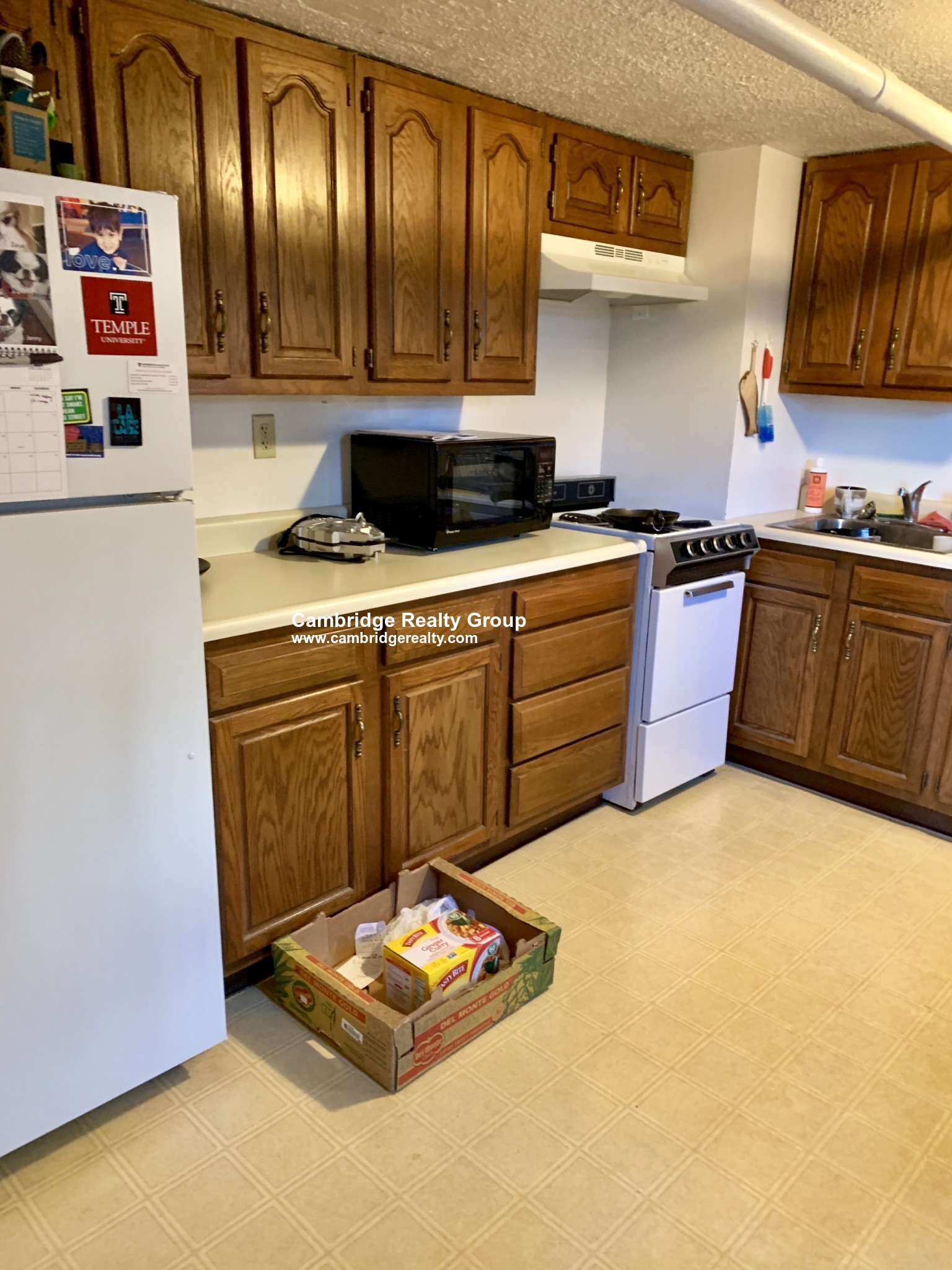 27 Cameron Ave, North Cambridge