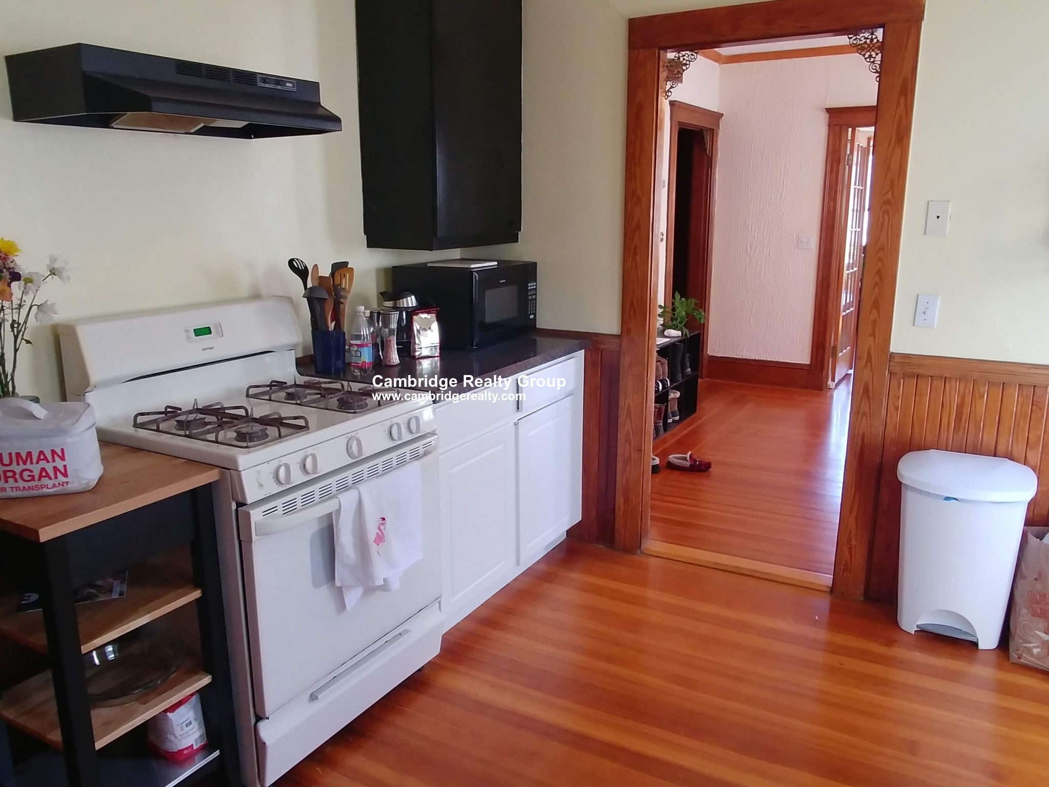 26 Sycamore St, Spring Hill