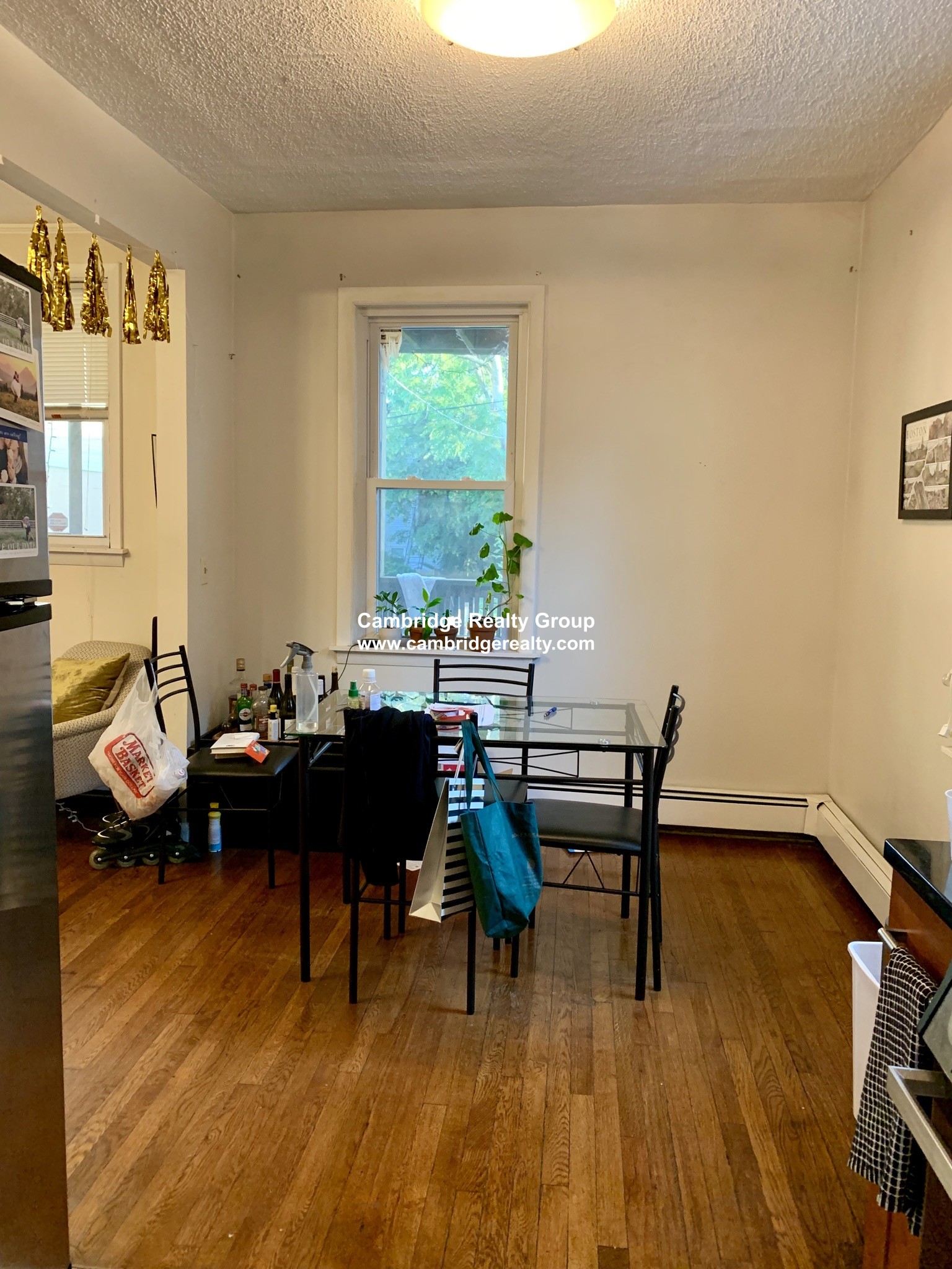 9 Gould Ave, Spring Hill