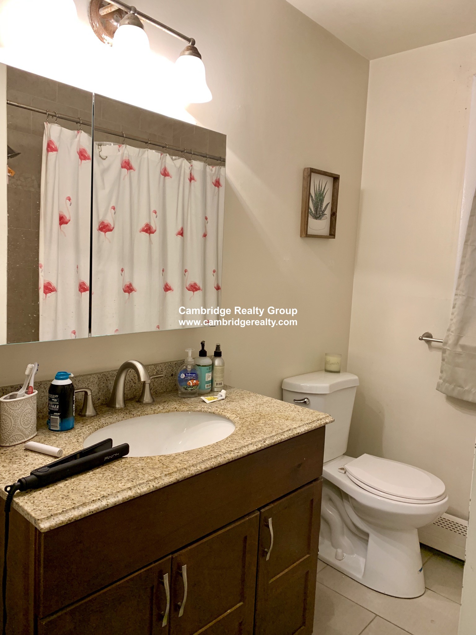 9 Gould Ave, Spring Hill