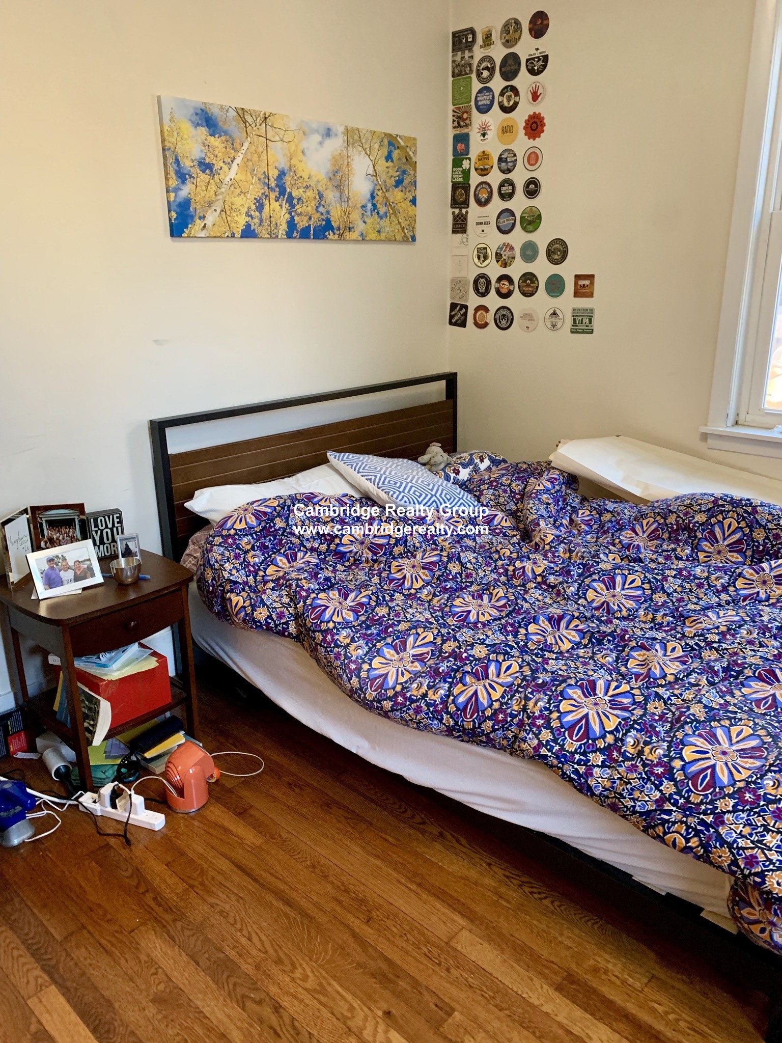 9 Gould Ave, Spring Hill