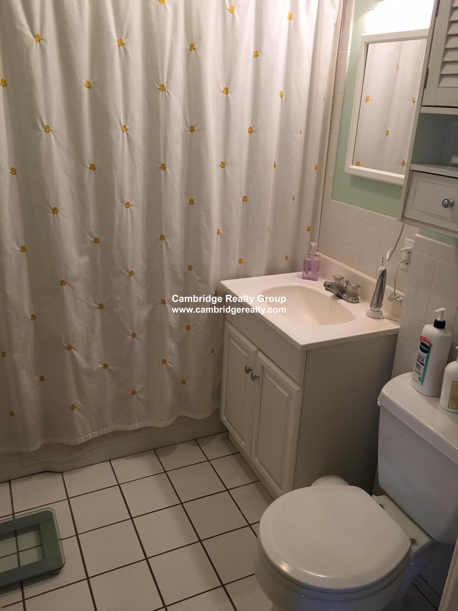 87 Holworthy St, West Cambridge