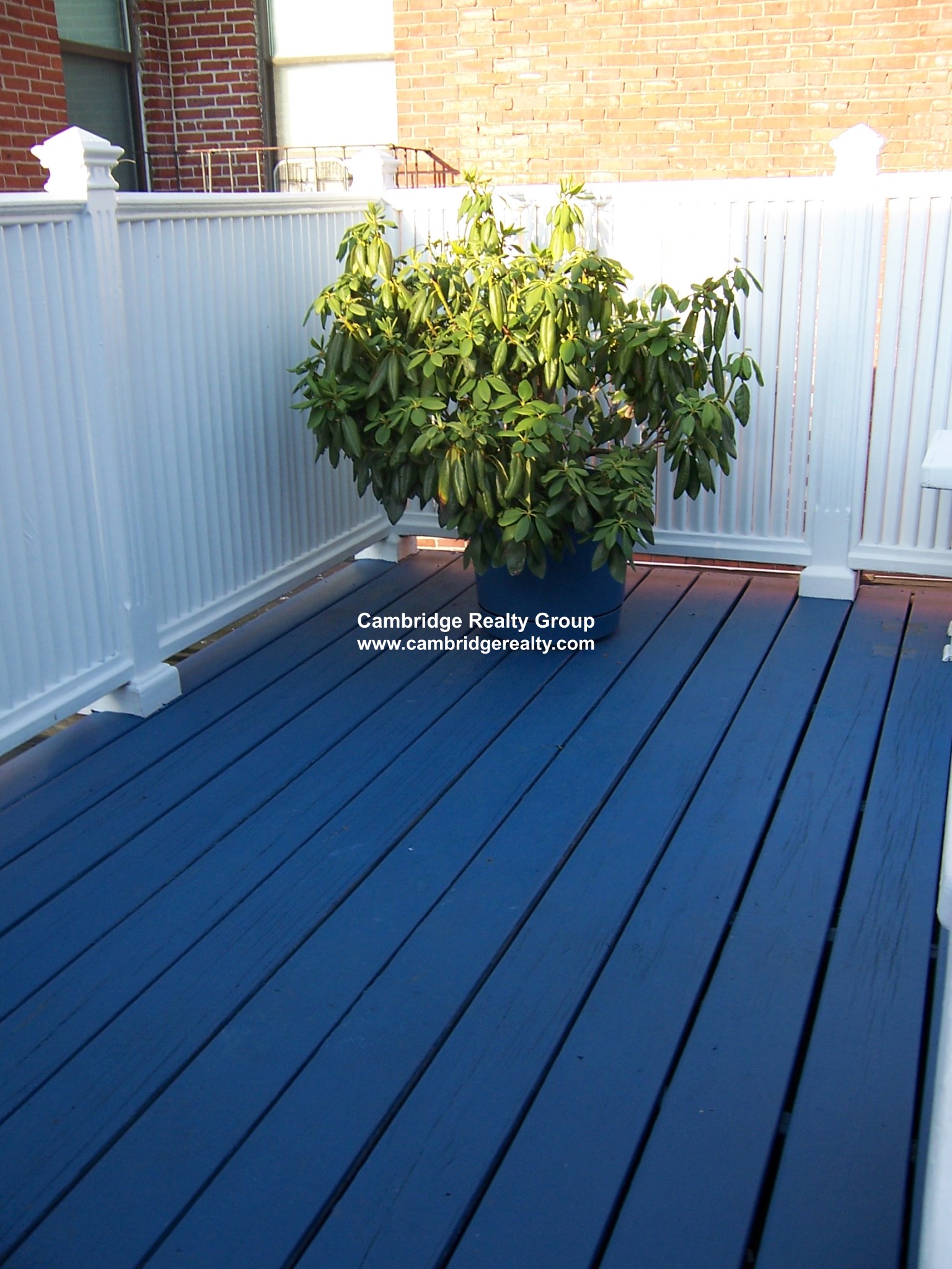 79 Harvey St, North Cambridge