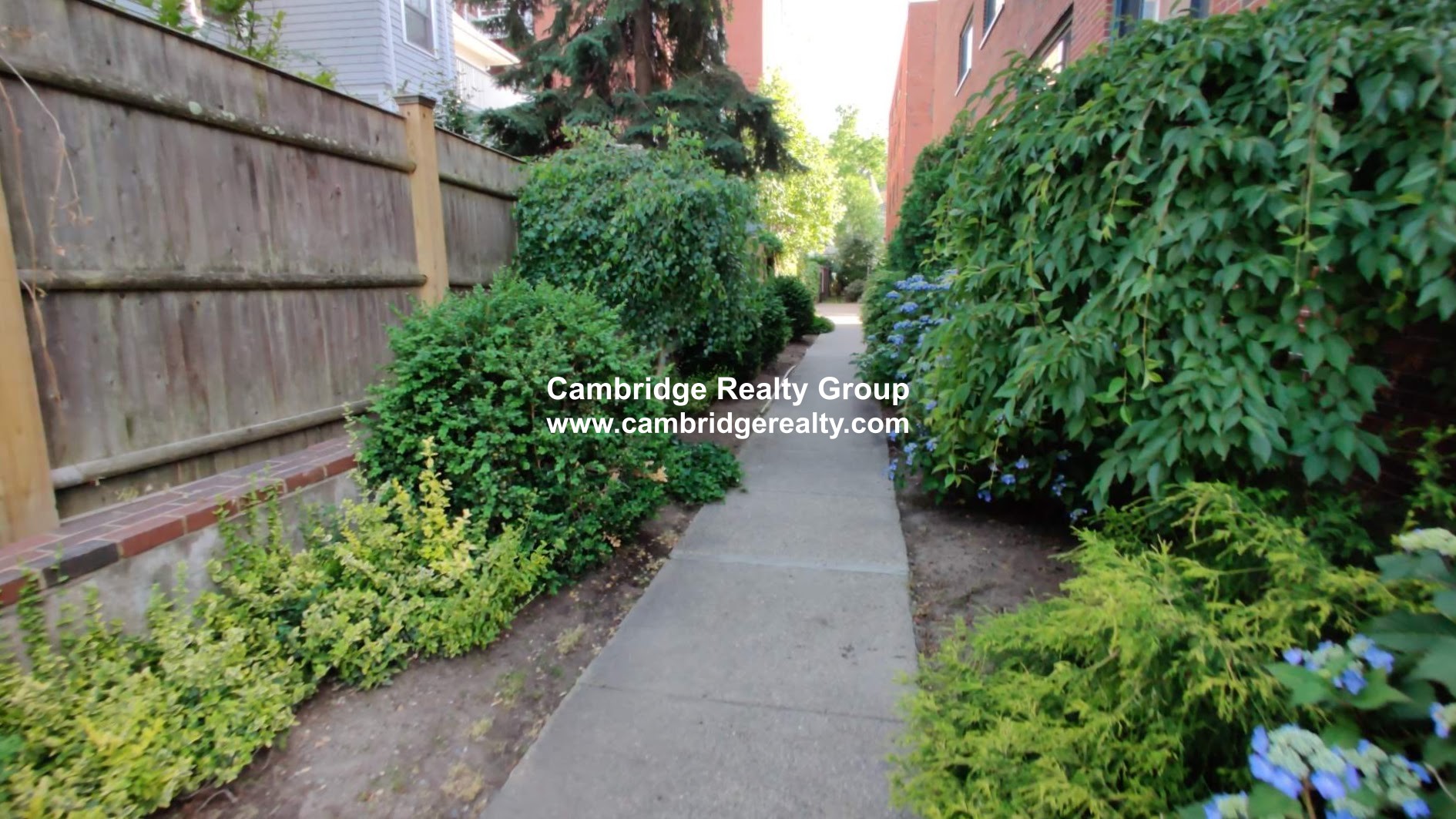 375 Harvard St, Harvard Square