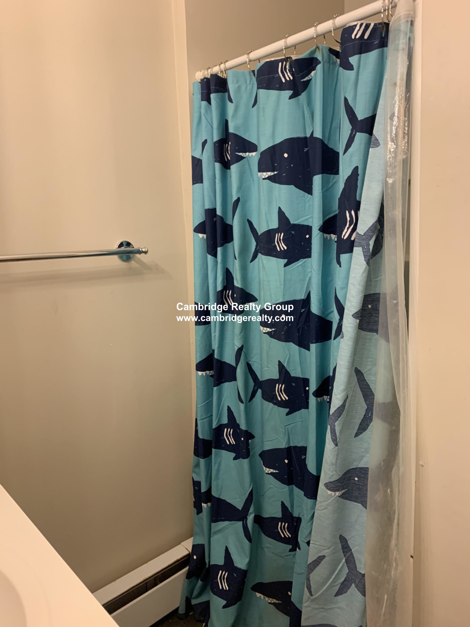 515 Medford St, Ball Square