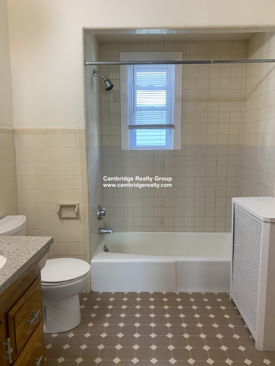 19 Burnside Ave, Davis Square