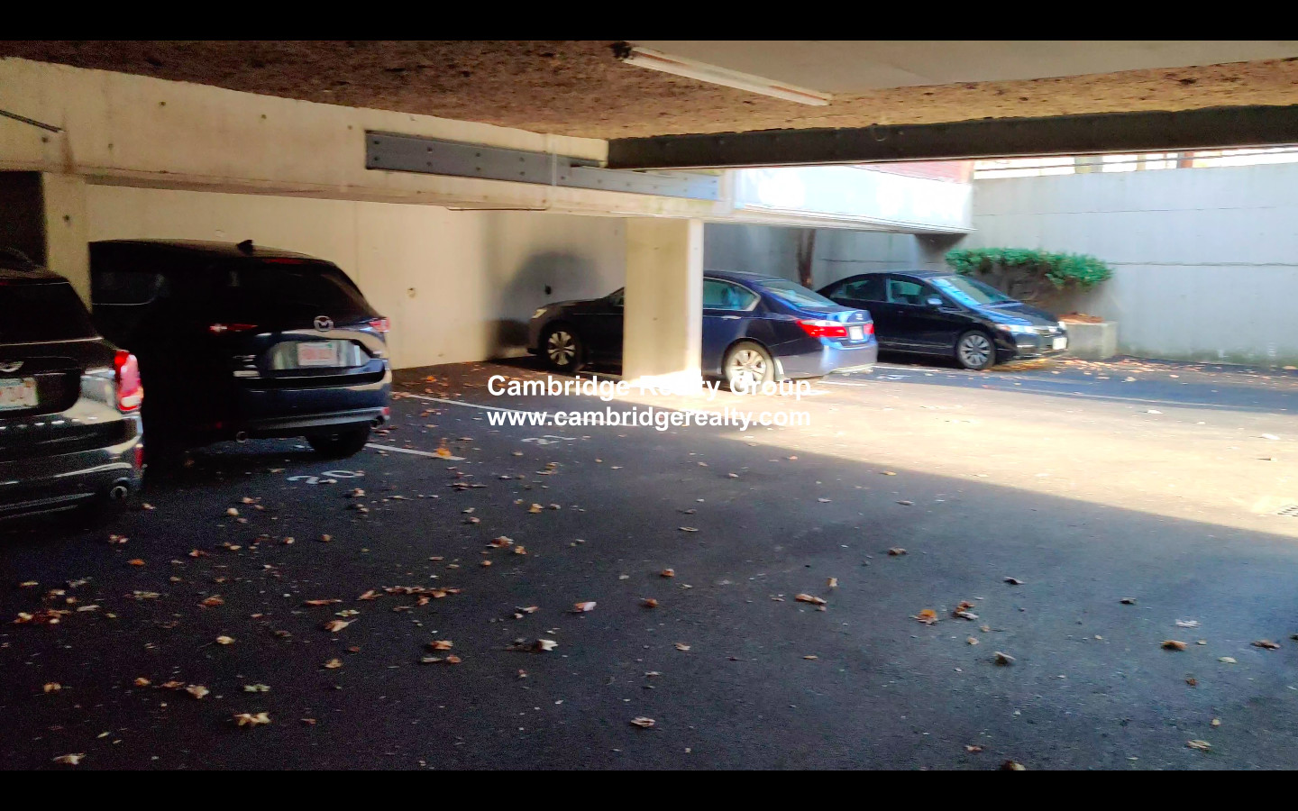 44 Concord Ave, Observatory Hill