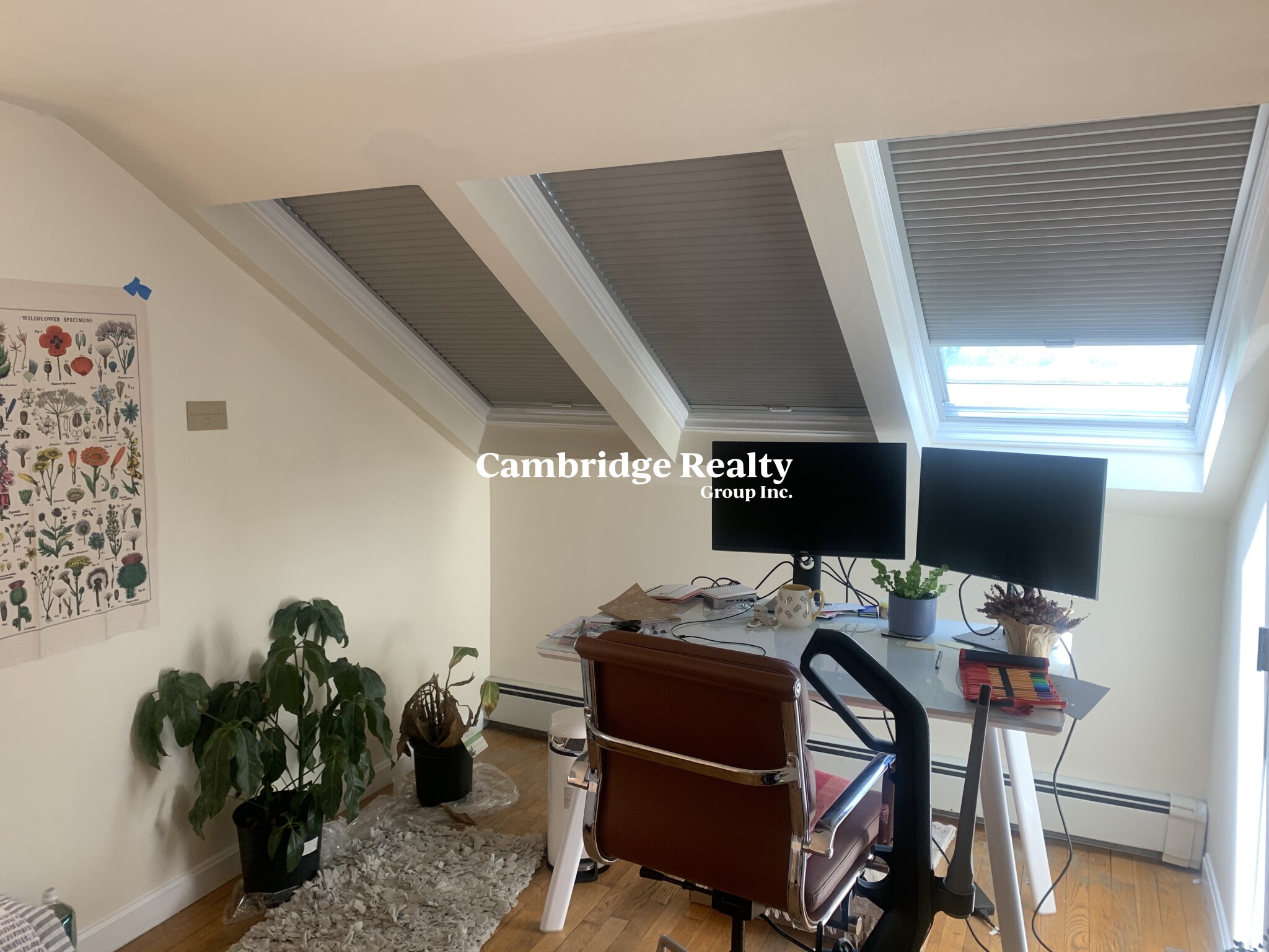 10 Sumner Rd, Harvard Square