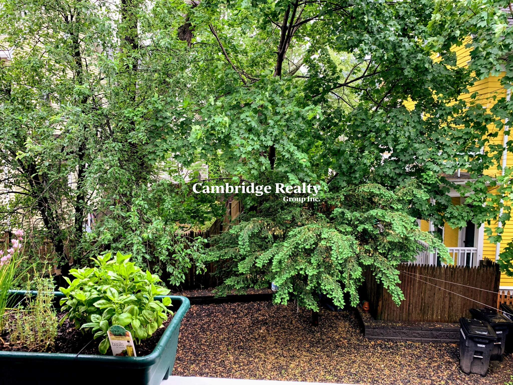 306 308 Summer St, Davis Square