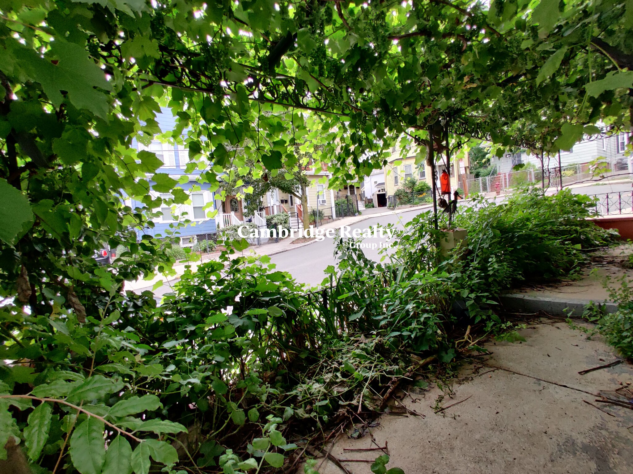 19 Wesley Park, Union Square