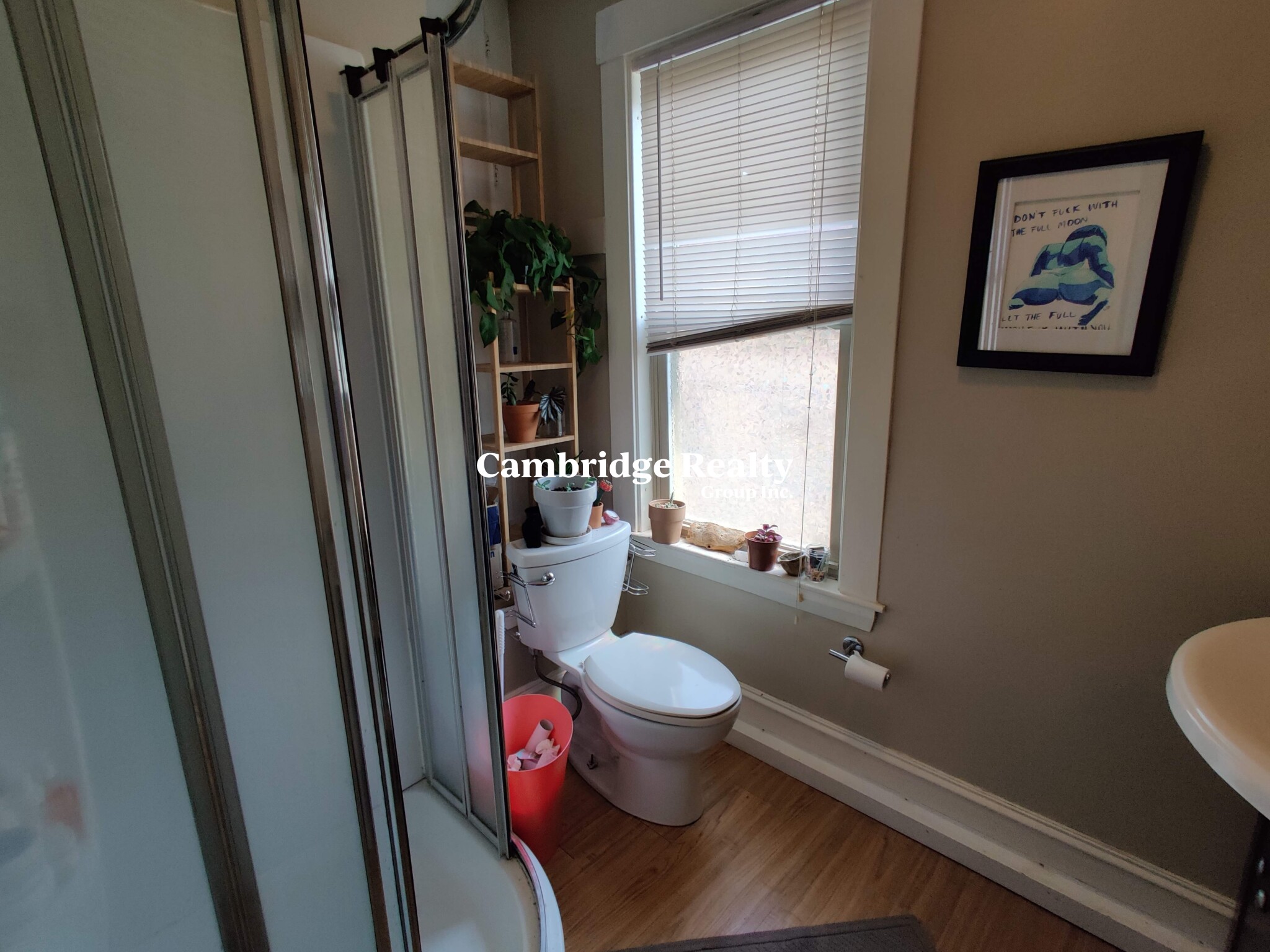 17 Cleveland St, Spring Hill