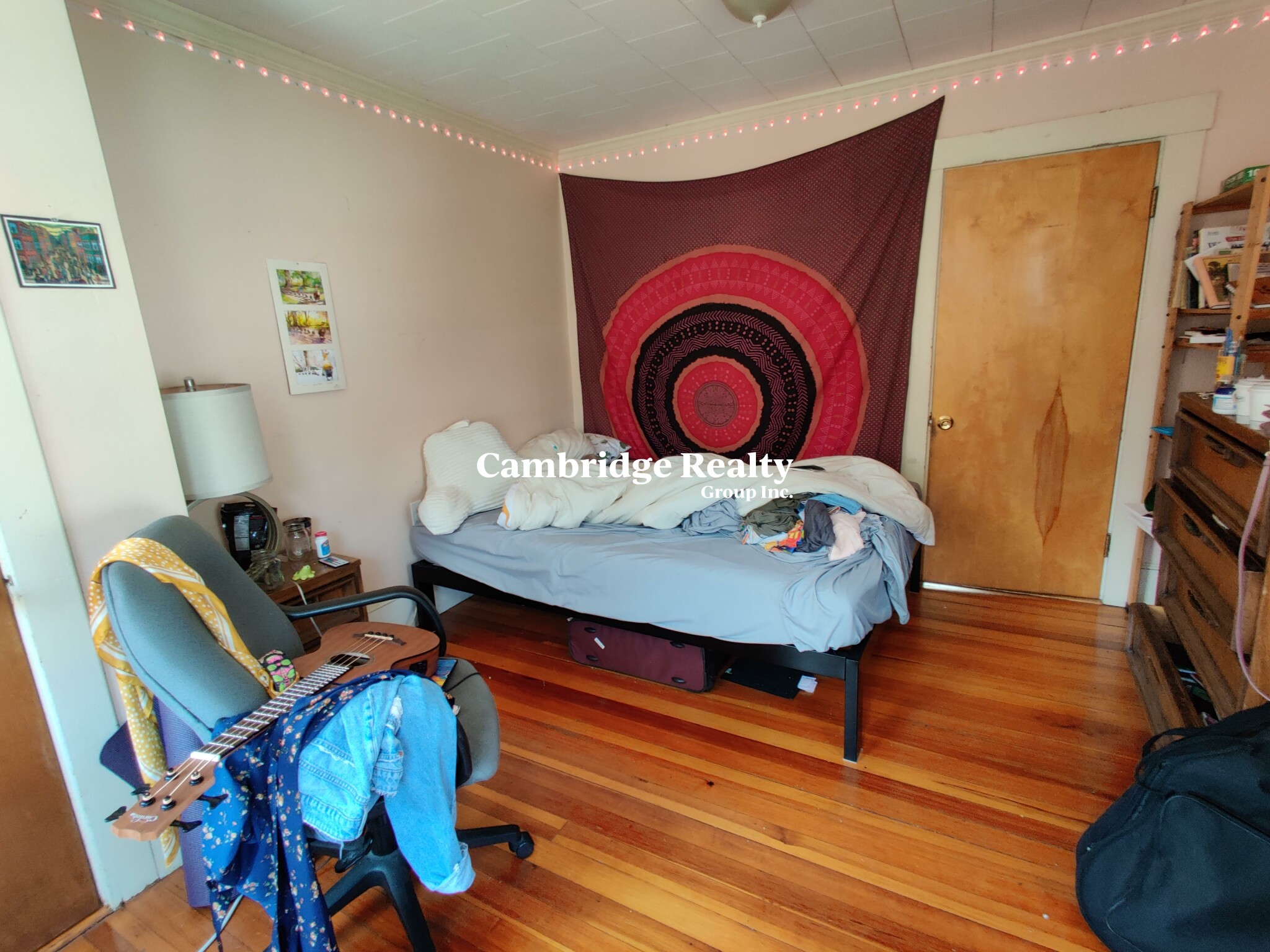 17 Cleveland St, Spring Hill