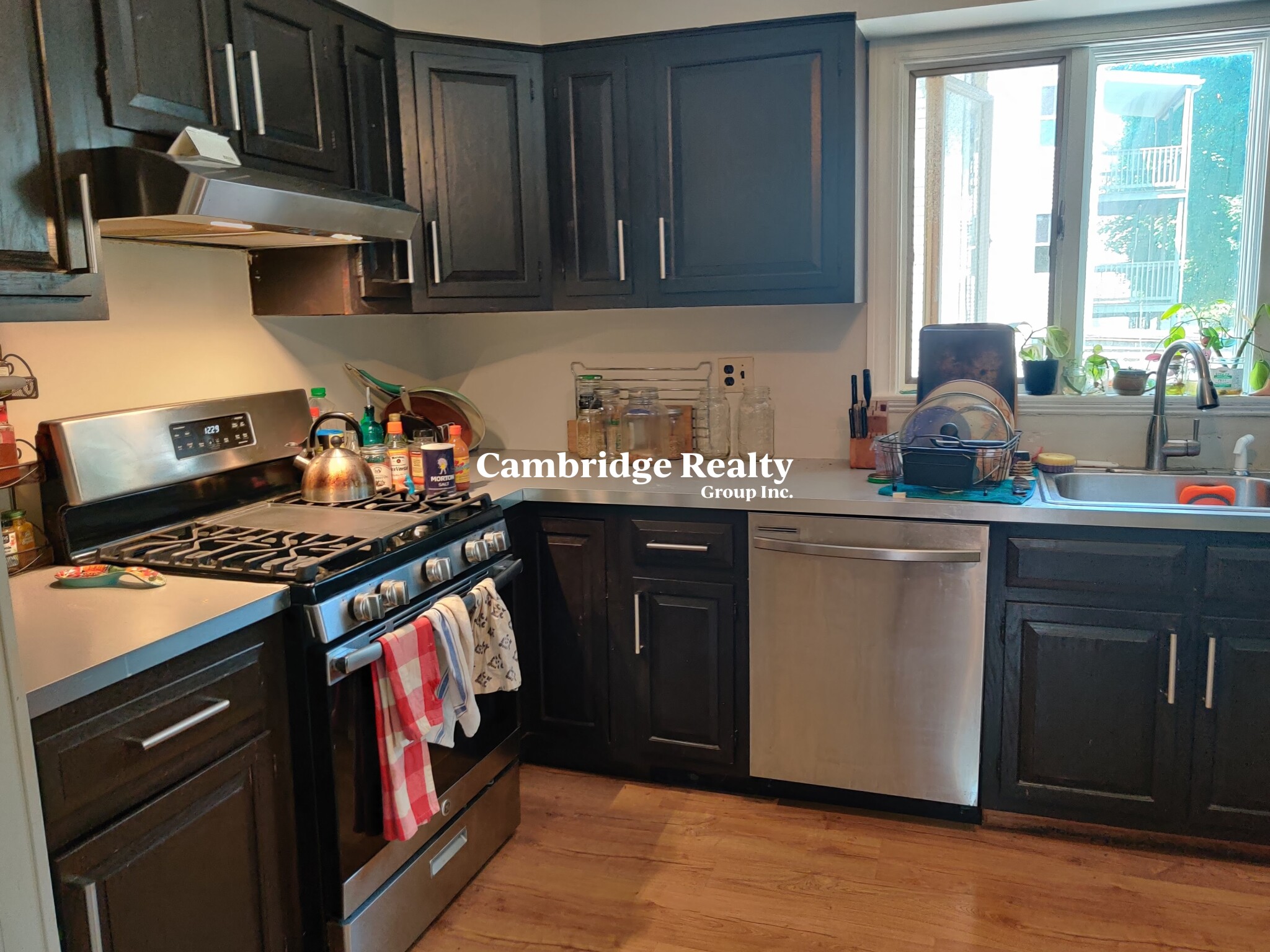 17 Cleveland St, Spring Hill