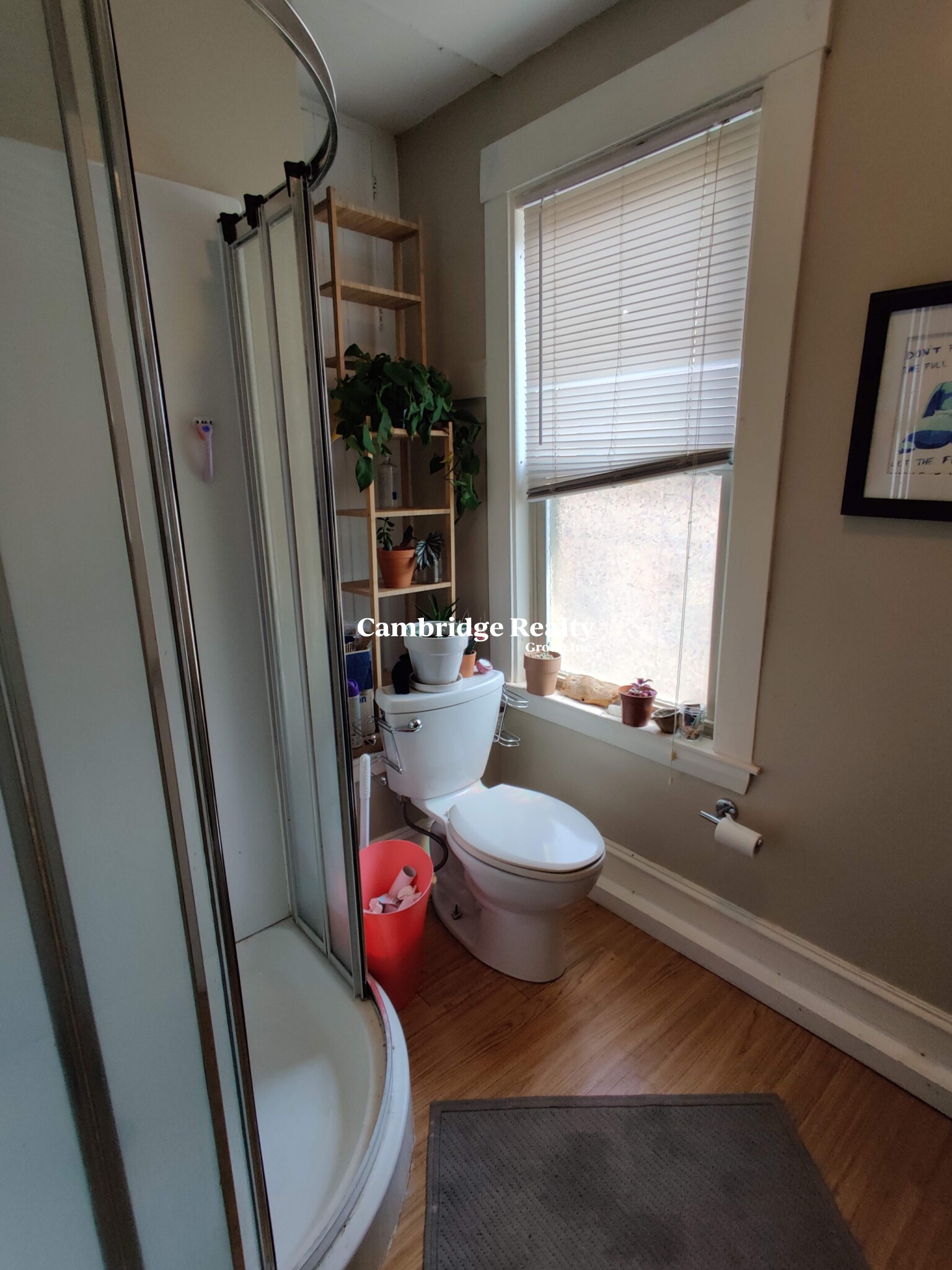 17 Cleveland St, Spring Hill