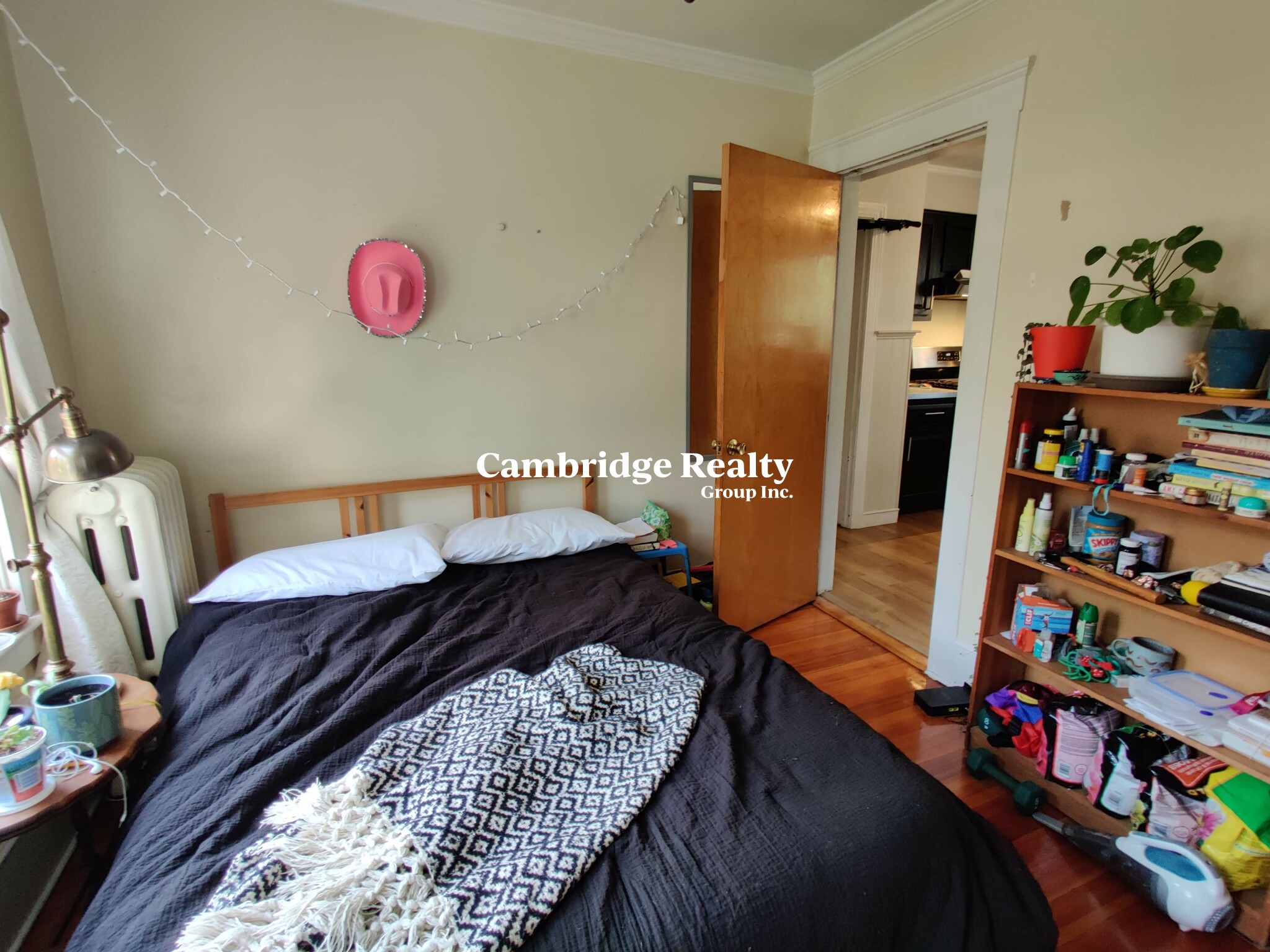 17 Cleveland St, Spring Hill