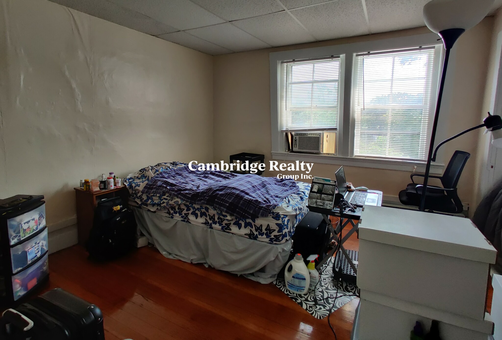 193 195 Mount Auburn St, Harvard Square