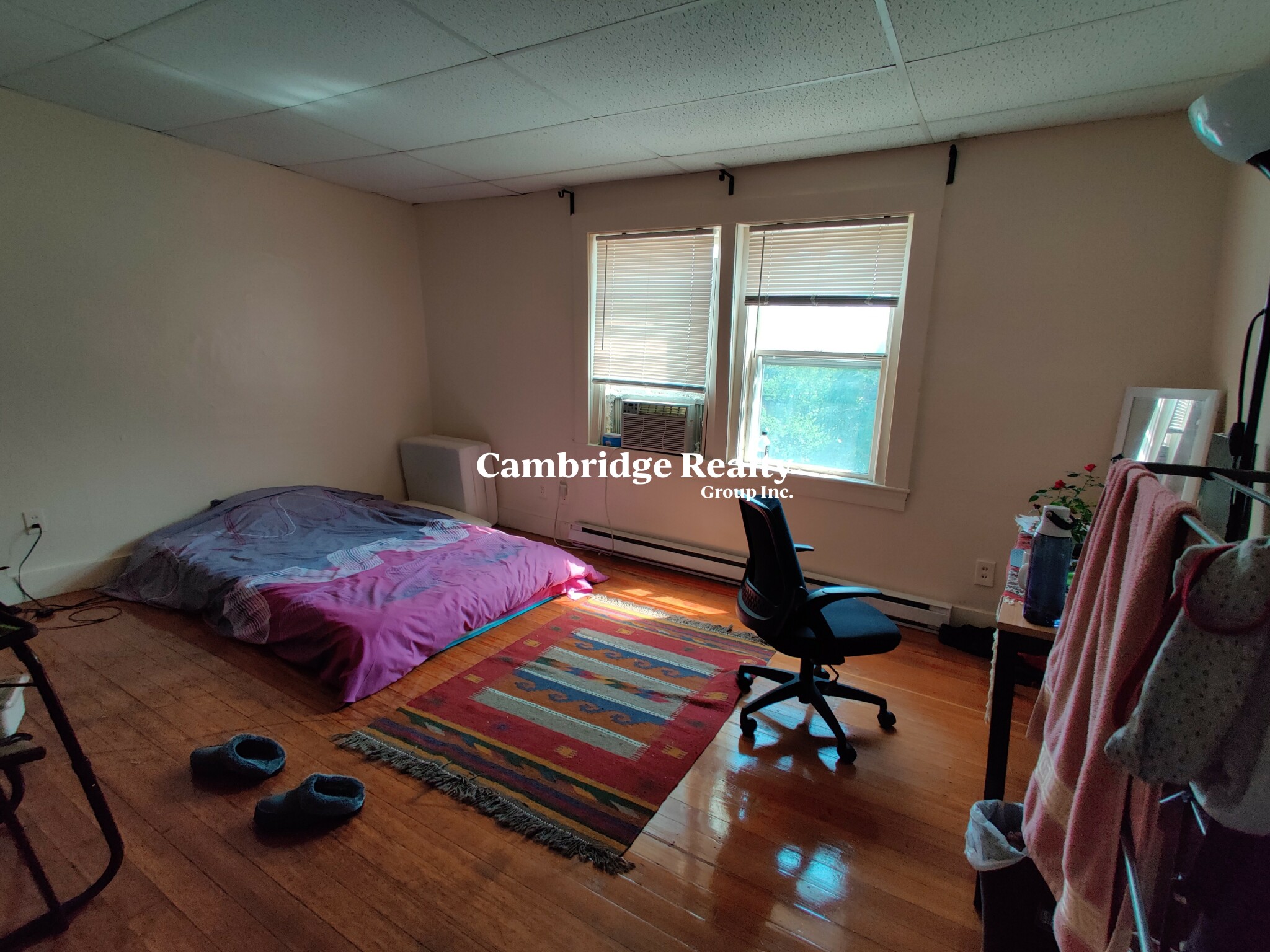 193 195 Mount Auburn St, Harvard Square