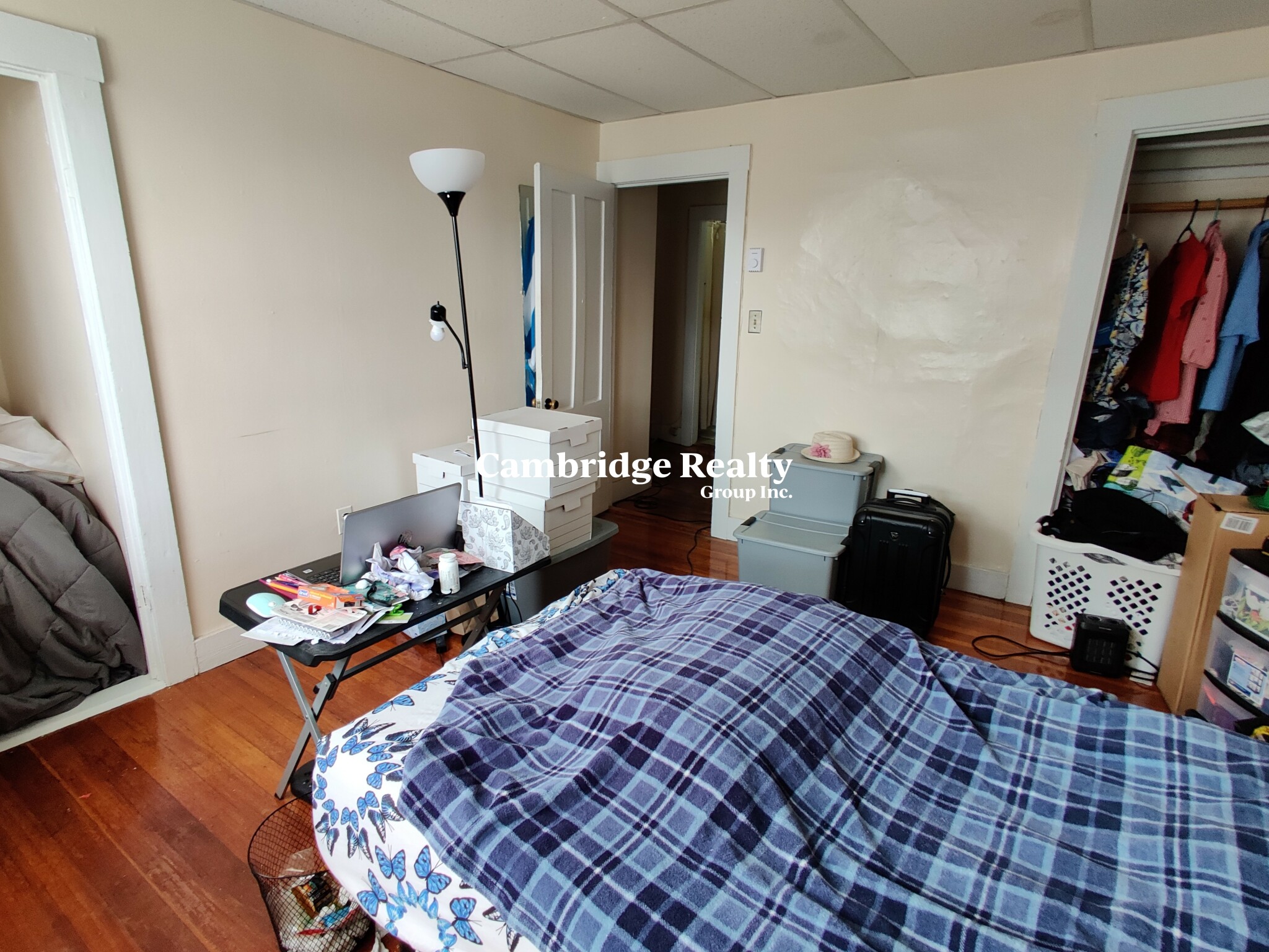 193 195 Mount Auburn St, Harvard Square