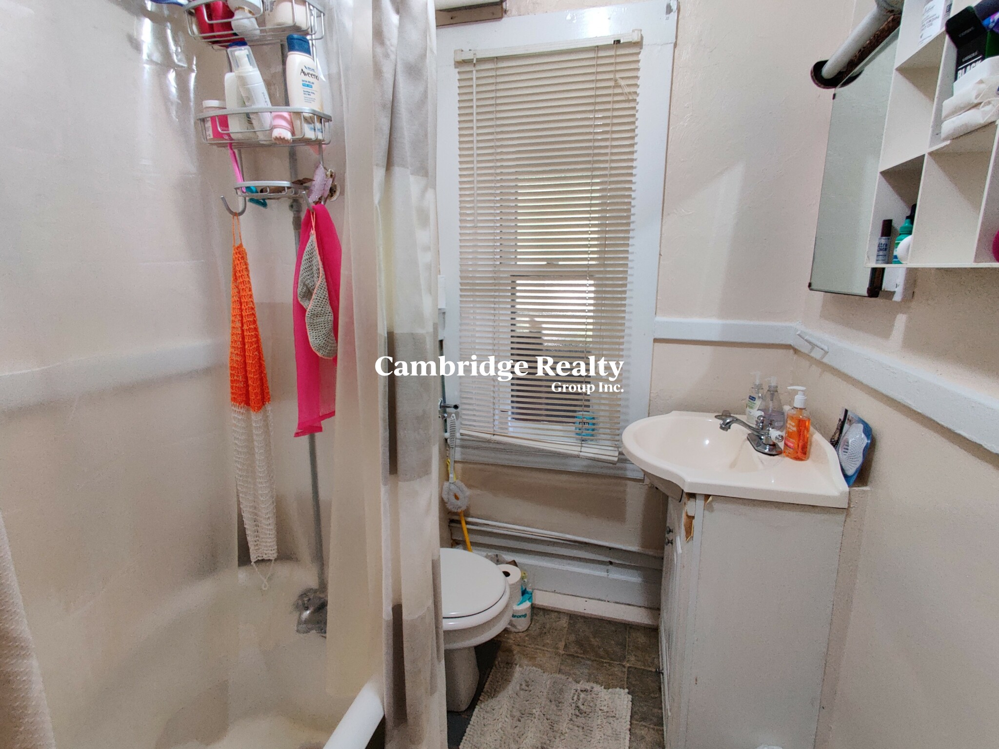 193 195 Mount Auburn St, Harvard Square