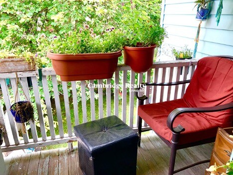 48 Cleveland St, Arlington