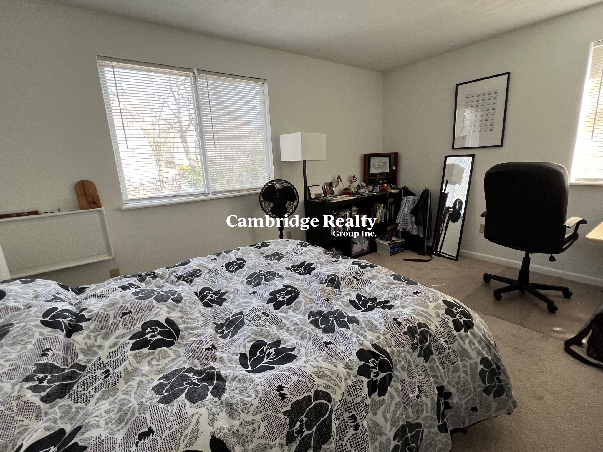 41 Belmont St, Spring Hill