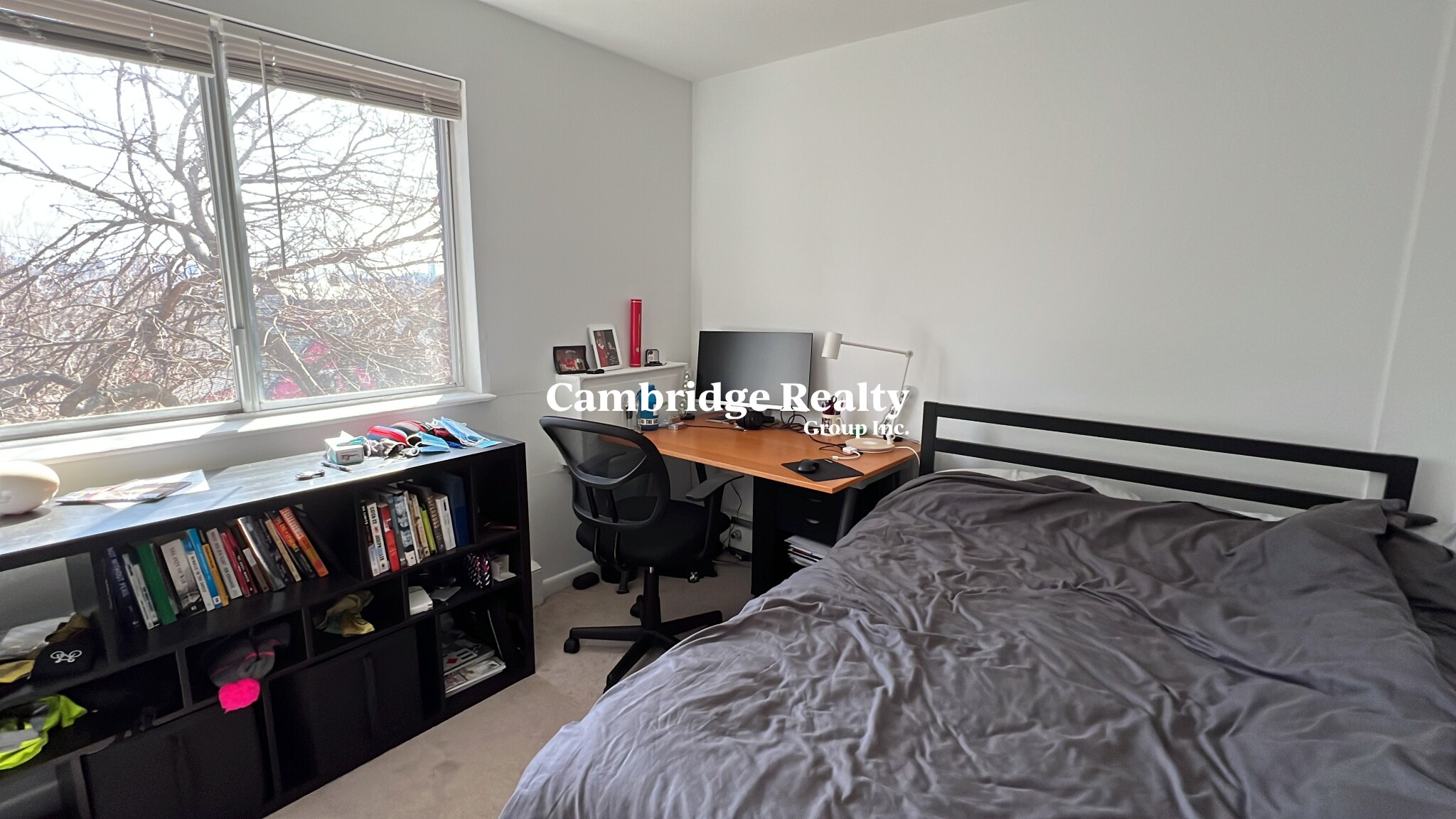 41 Belmont St, Spring Hill