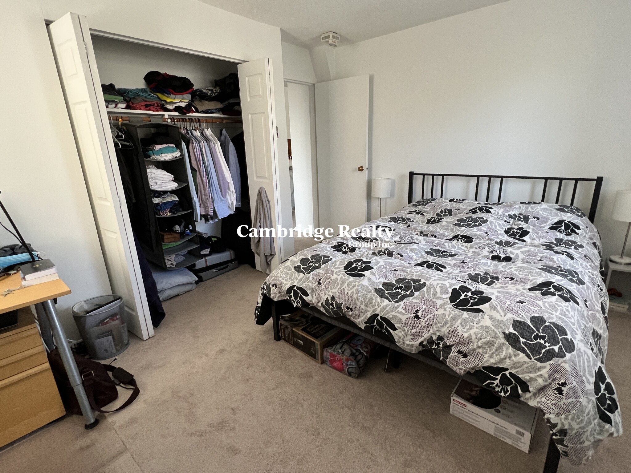 41 Belmont St, Spring Hill