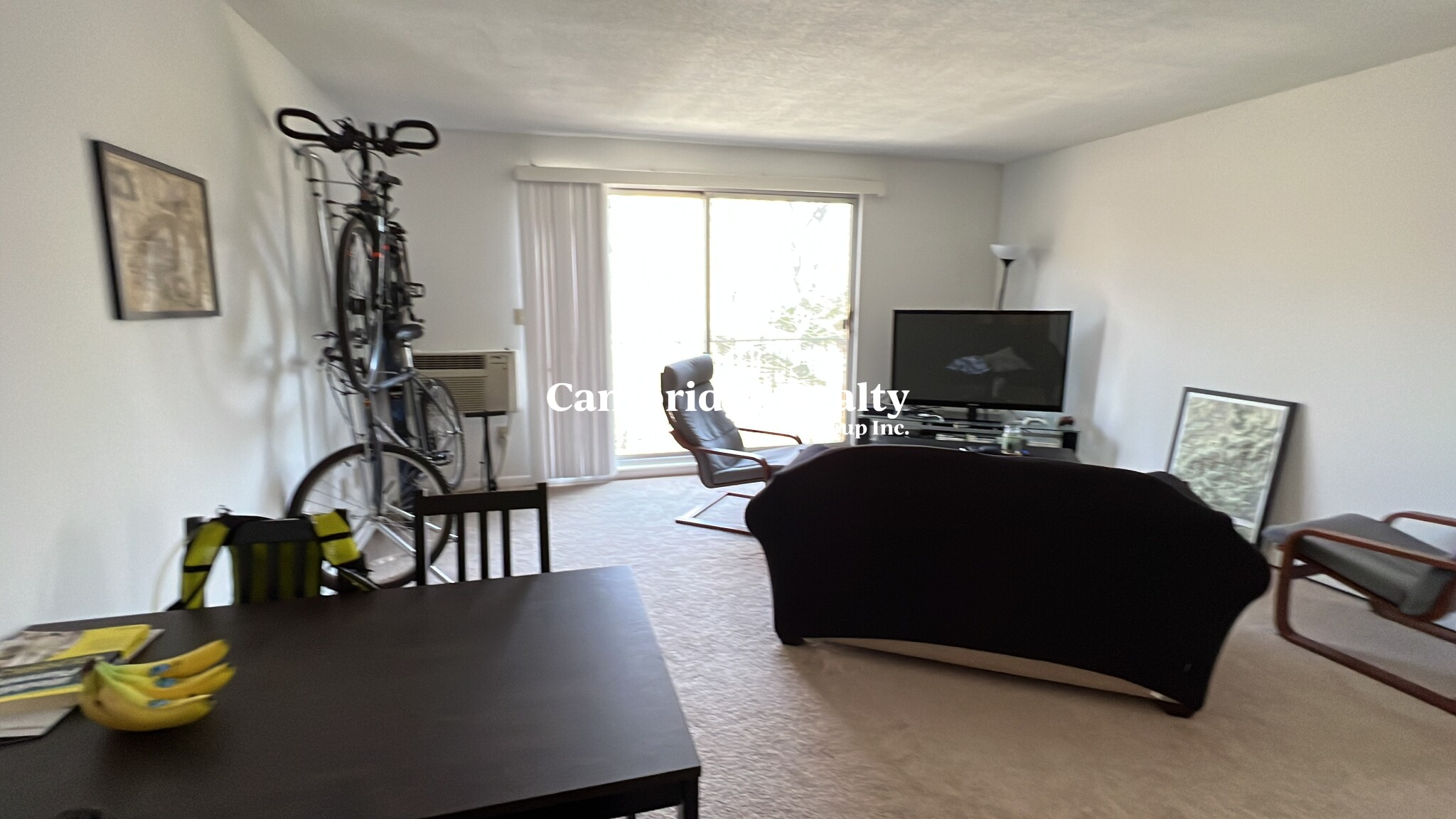 41 Belmont St, Spring Hill