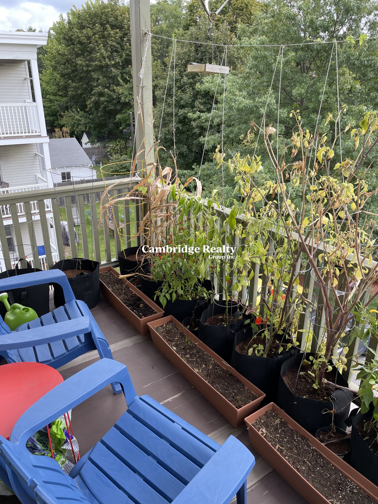 95 Jackson St, North Cambridge